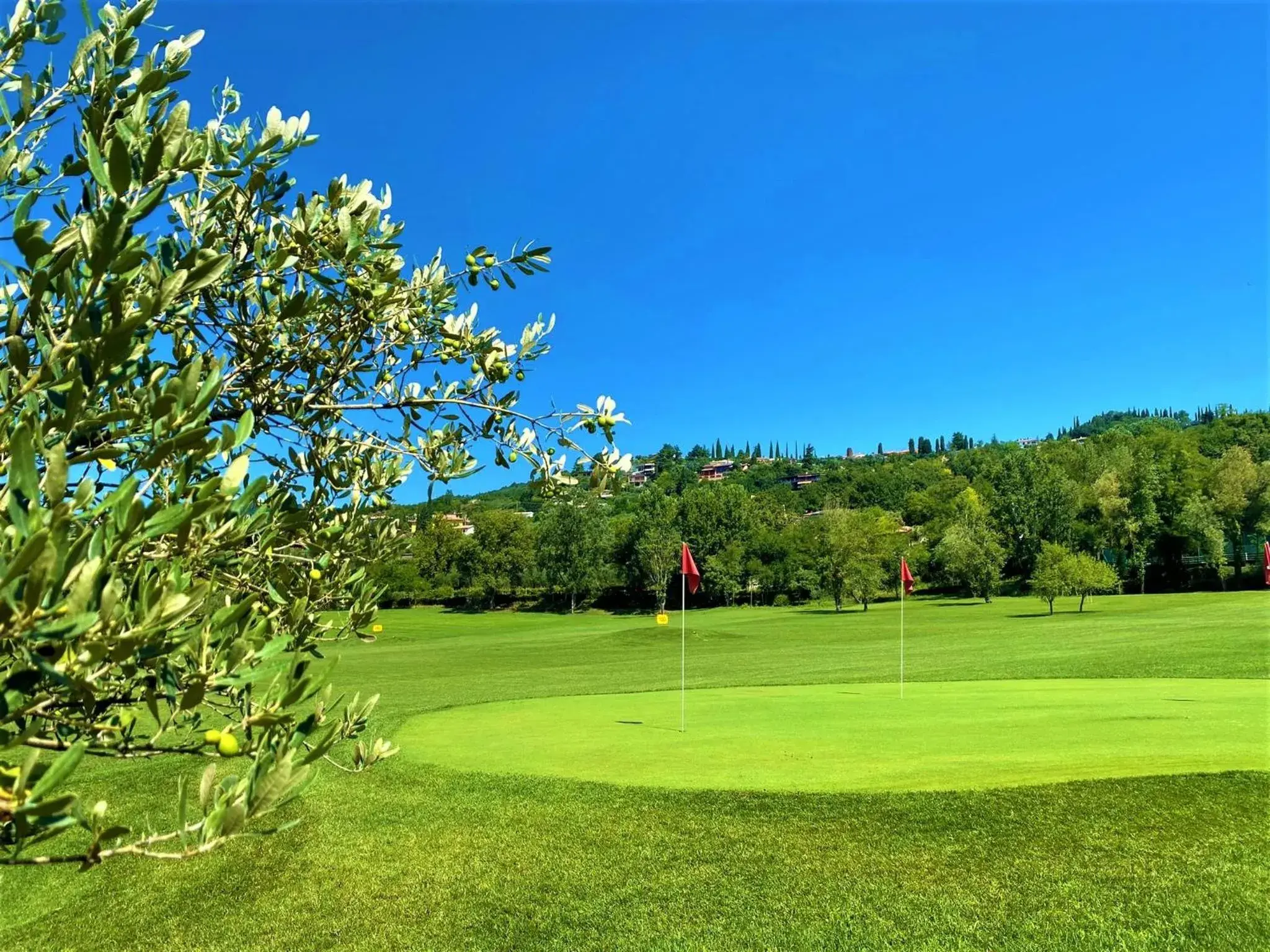 Golfcourse, Garden in Poiano Garda Resort Hotel