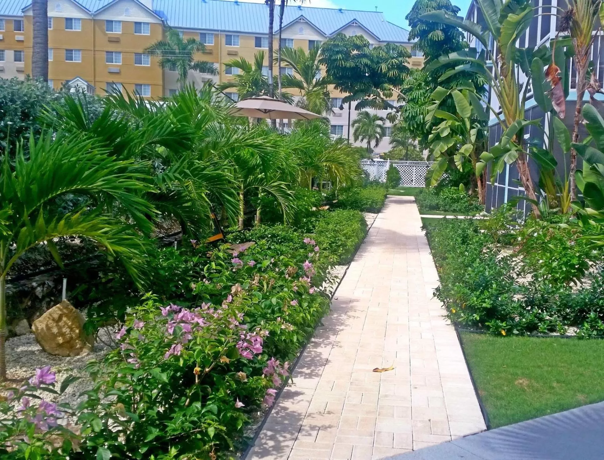 Garden in Seven Mile Beach Resort