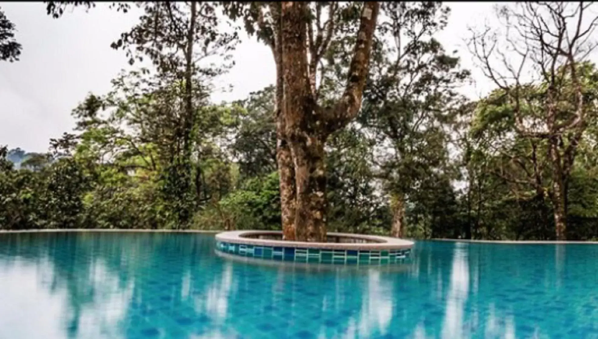 Pool view, Swimming Pool in Elixir Hills Suites Resort and Spa