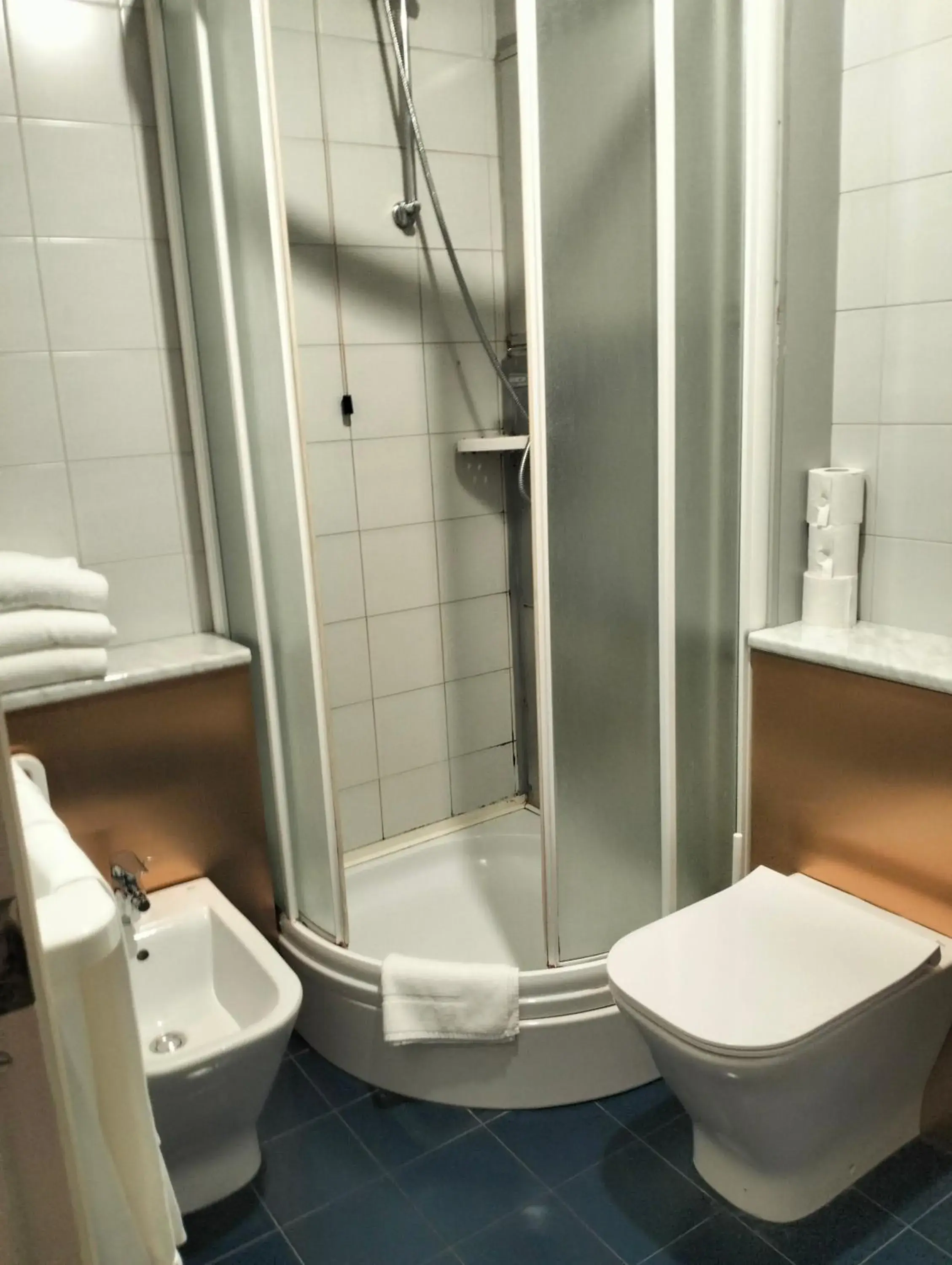 Shower, Bathroom in Hotel Palace del Conero