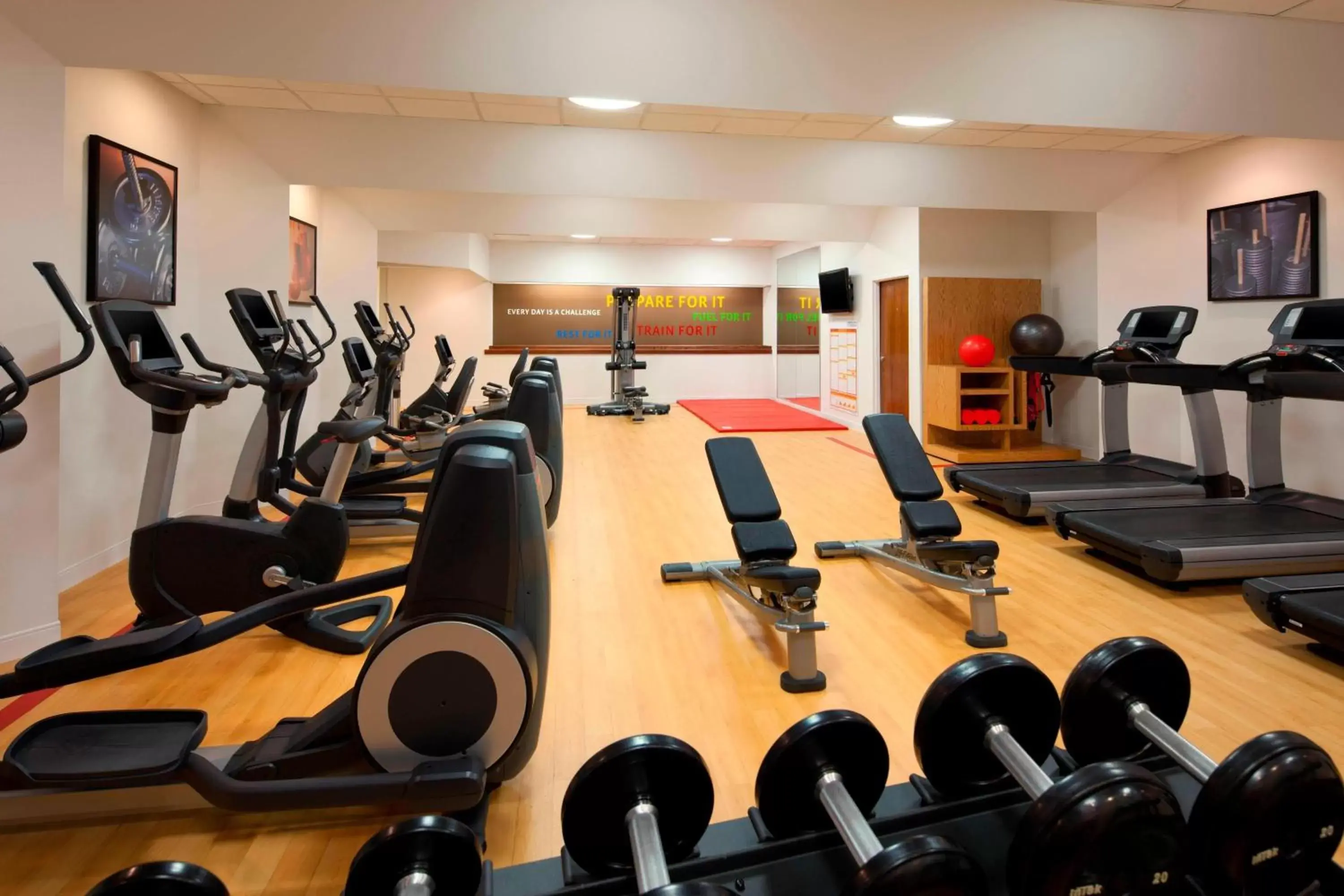 Fitness centre/facilities, Fitness Center/Facilities in Sheraton Hotel Denver Tech Center