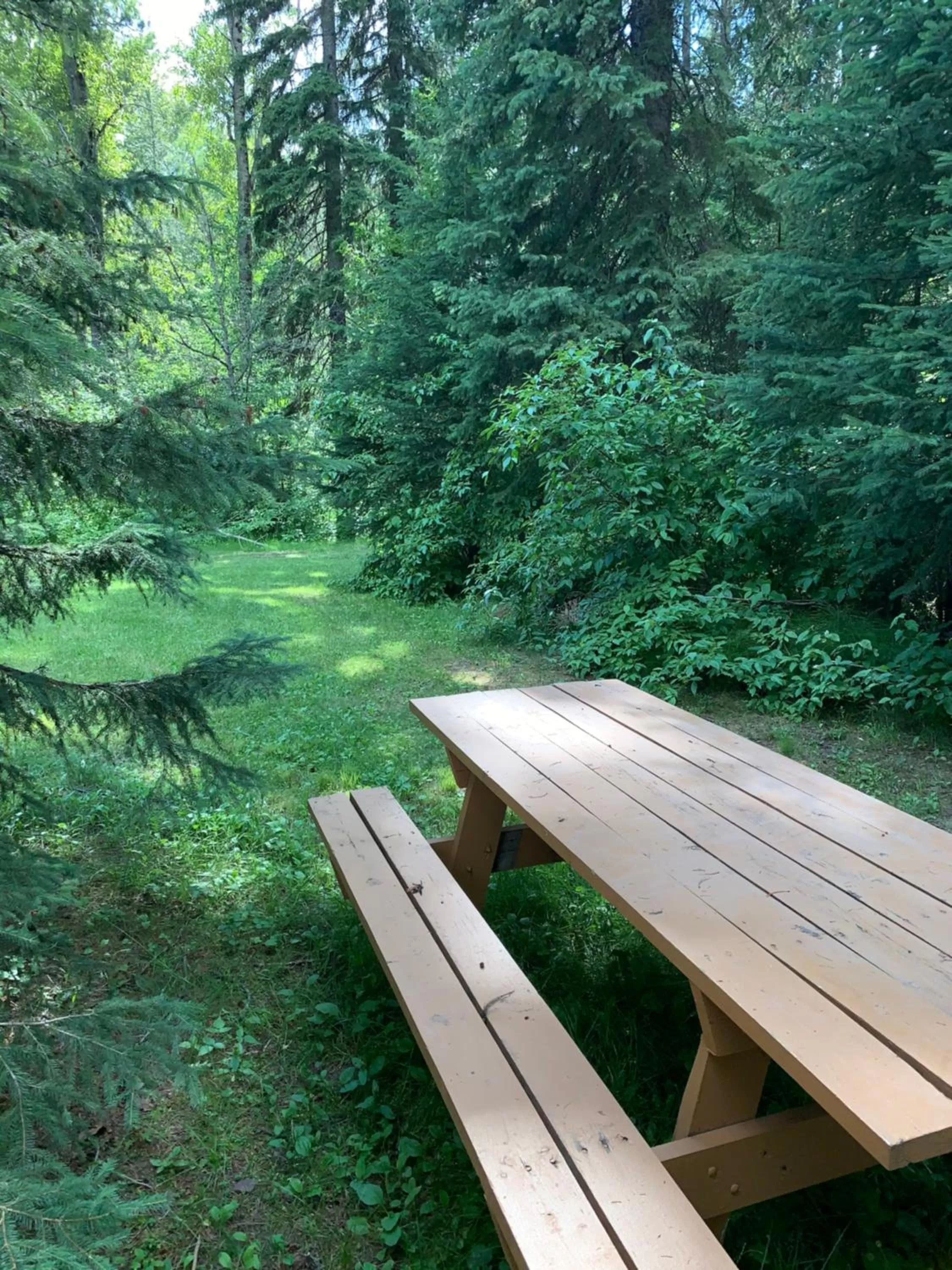 Garden in Glacier Haven Inn