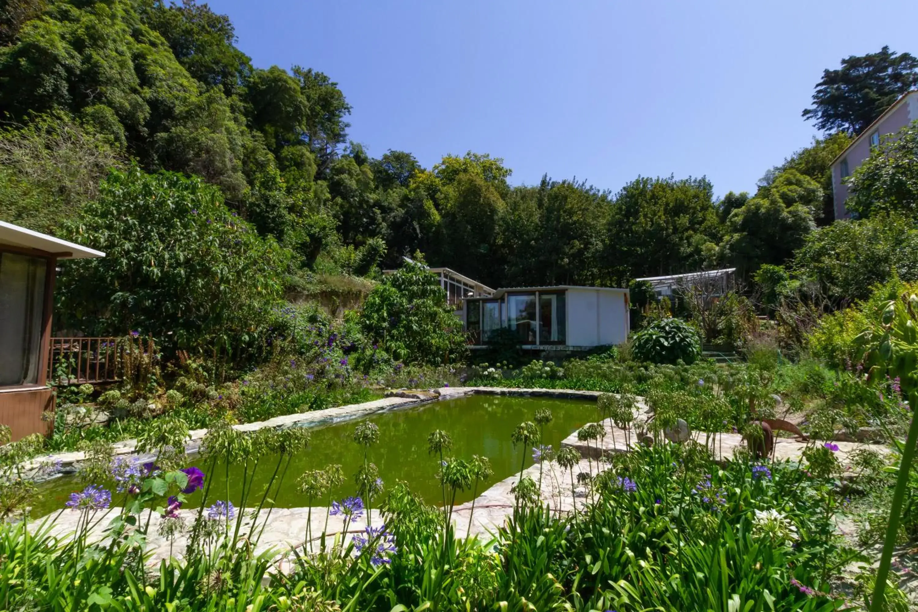 Lake view in Quinta Das Murtas