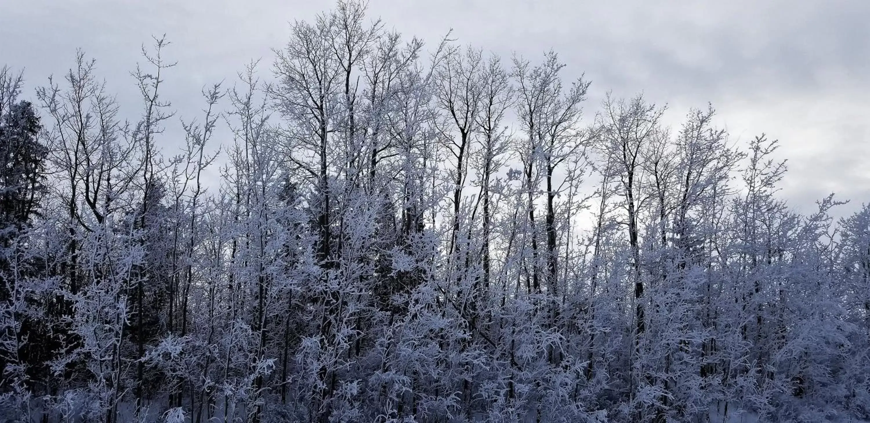 Winter in Alberta Beach Inn and Suites