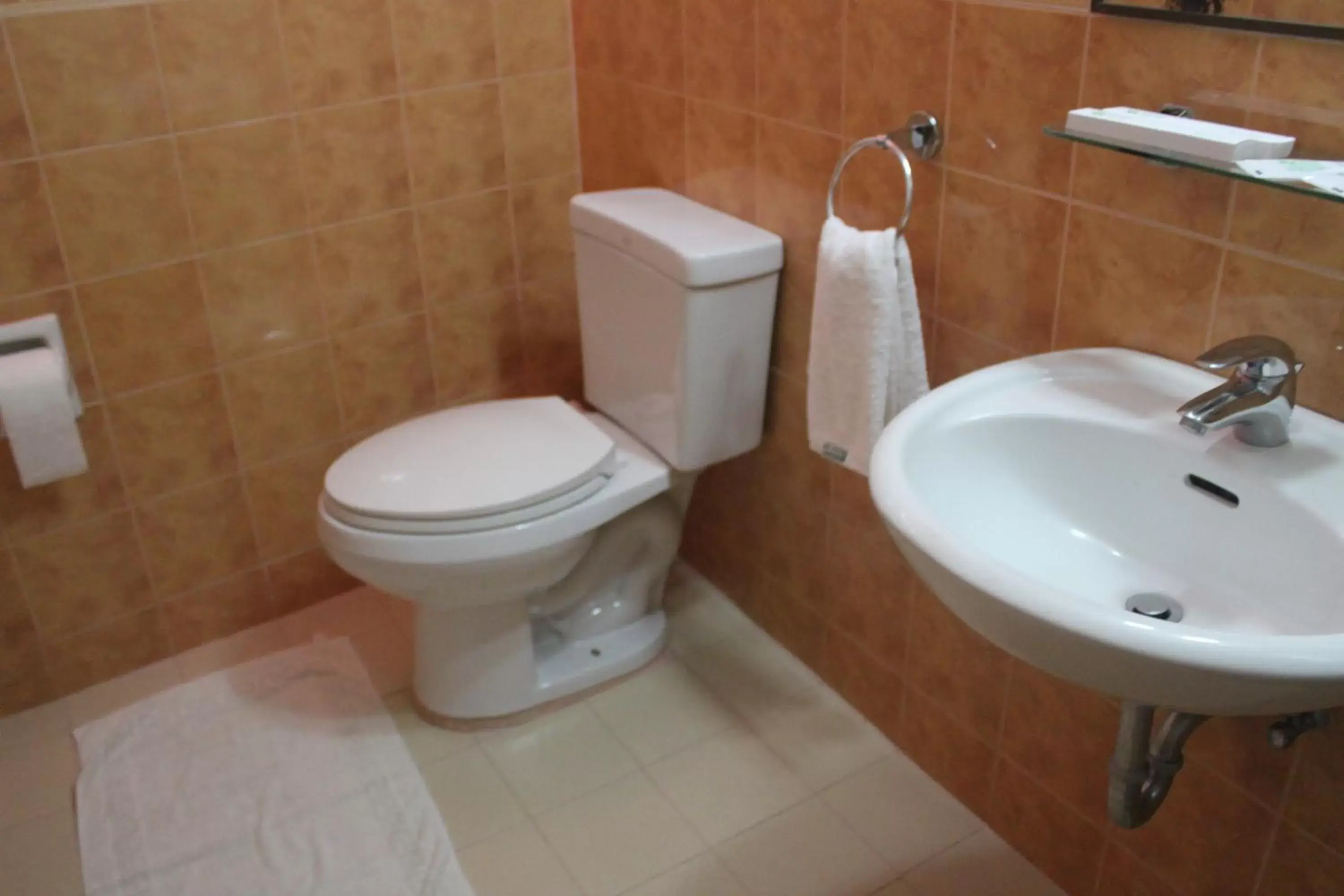 Toilet, Bathroom in Elegant Circle Inn