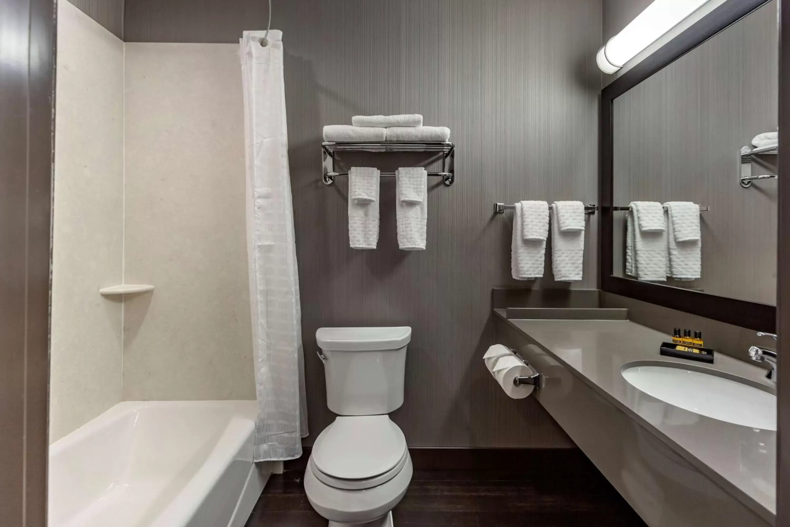 Bathroom in Best Western Plus Meridian