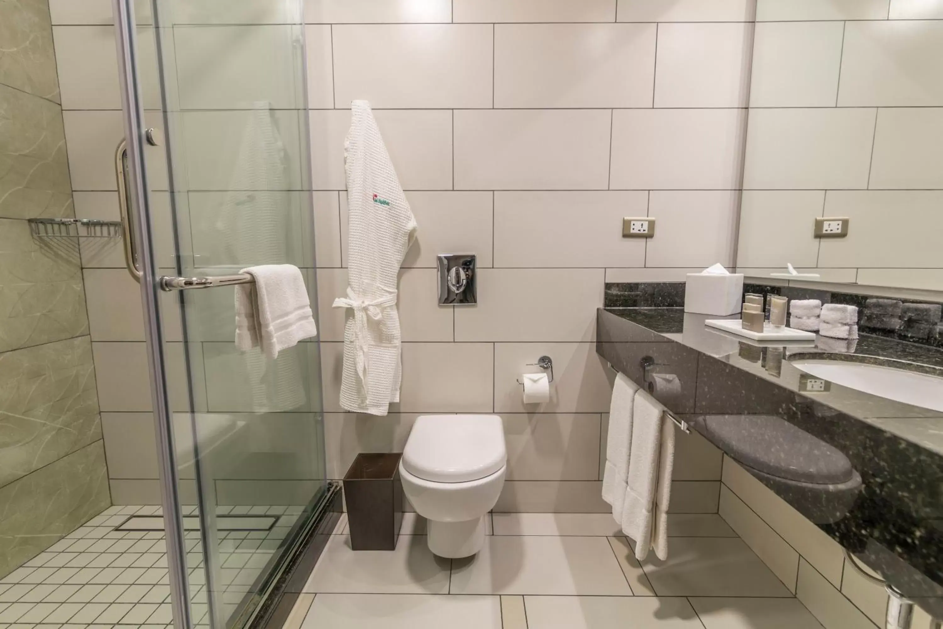 Shower, Bathroom in Los Tajibos, Santa Cruz de la Sierra, a Tribute Portfolio Hotel