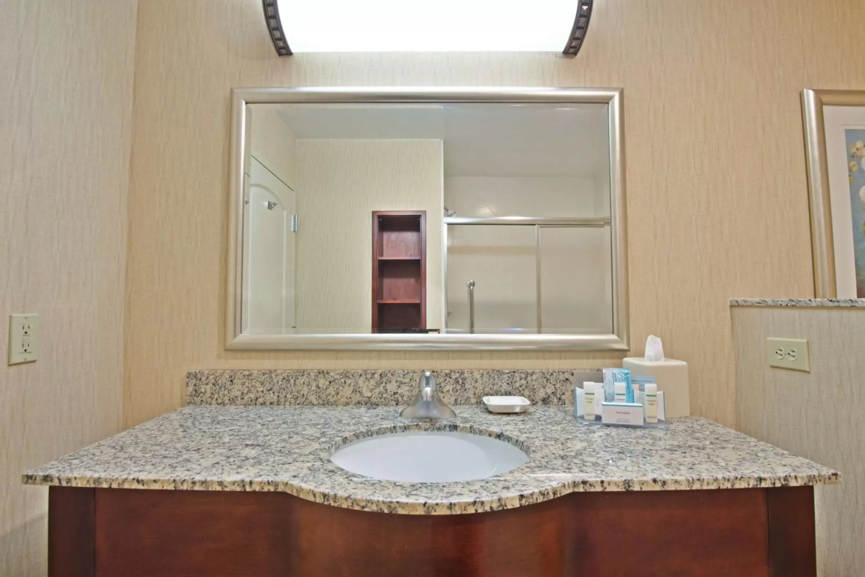 Bathroom in Hampton Inn Gainesville-Haymarket