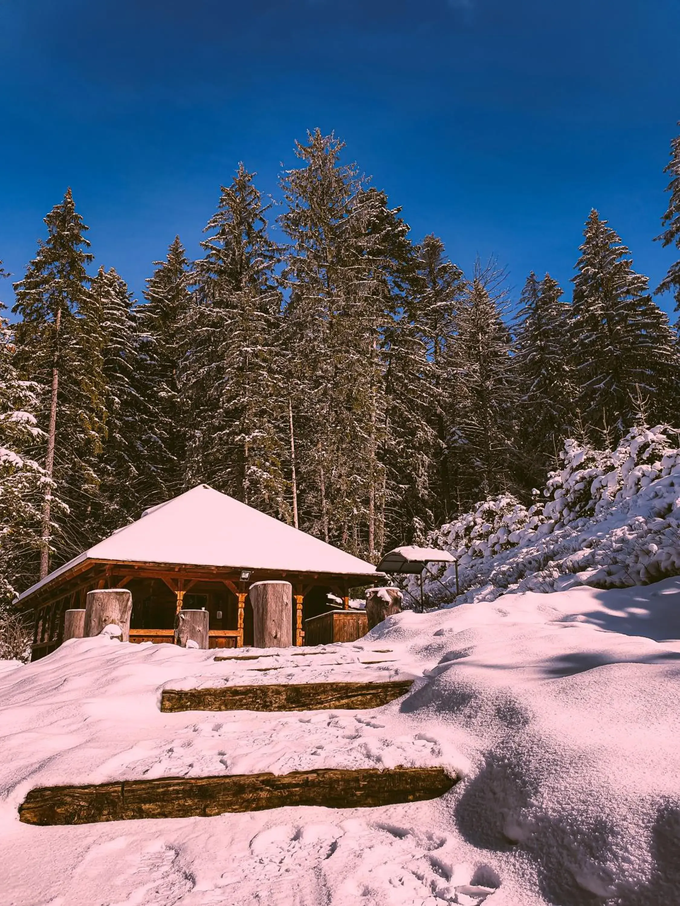 Property building, Winter in Teleferic Grand Hotel