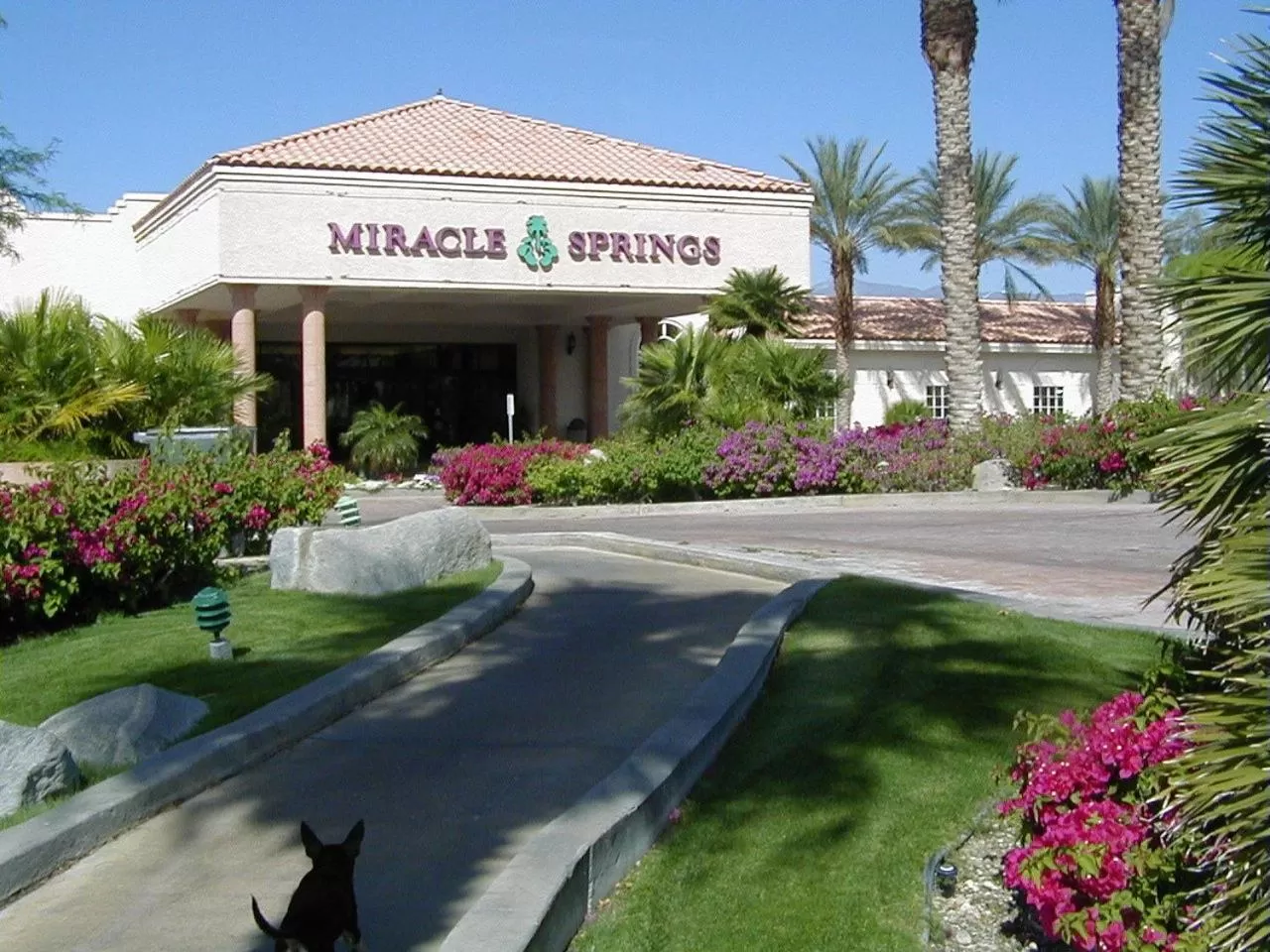 Facade/entrance in Miracle Springs Resort and Spa