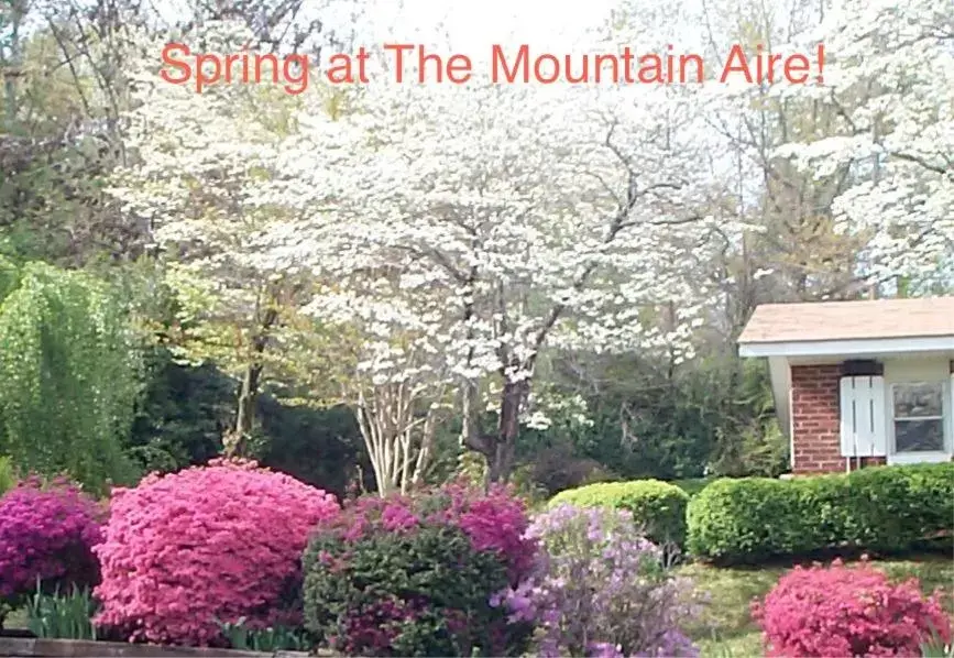 Spring in Mountain Aire Cottages & Inn