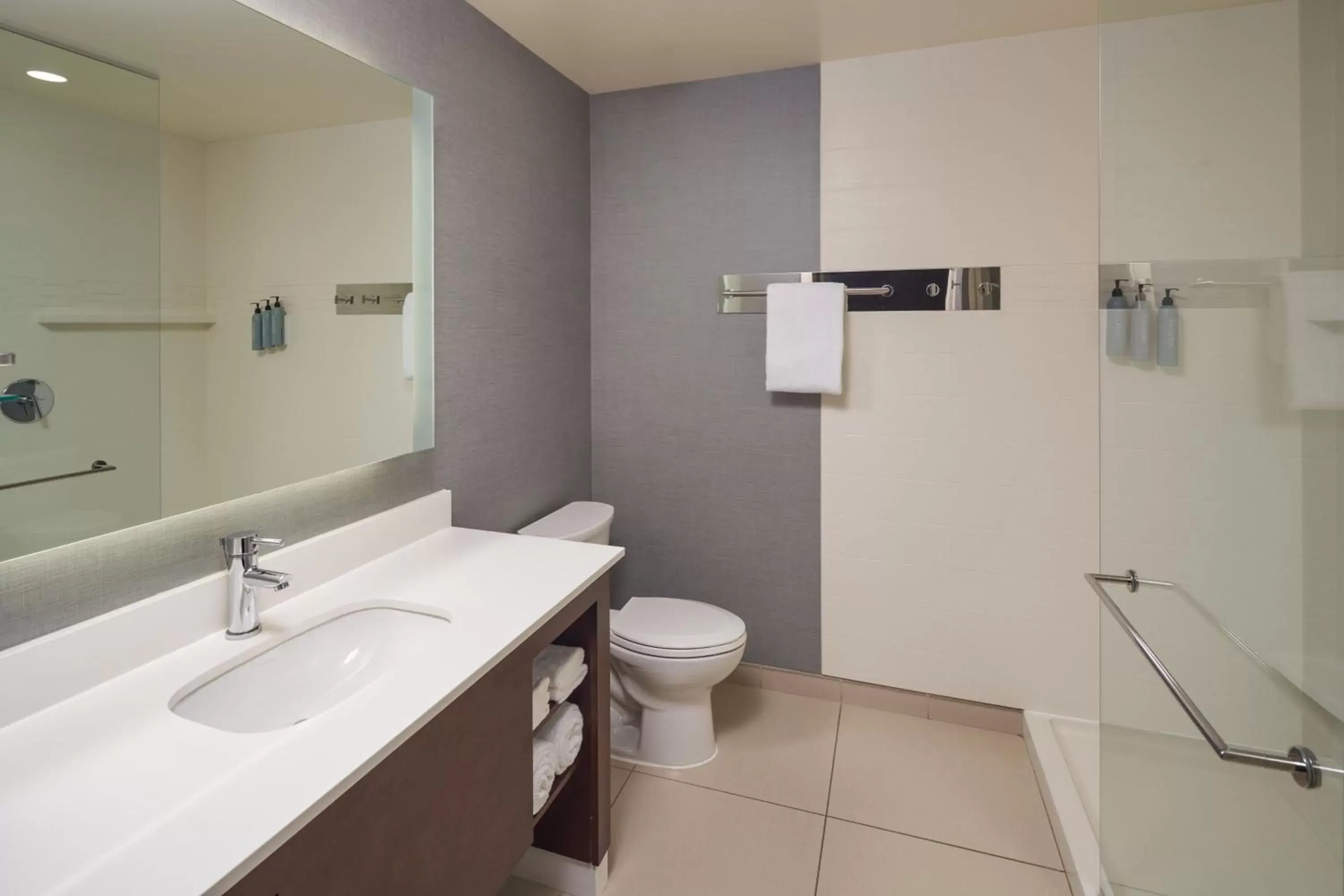 Bathroom in Residence Inn by Marriott Philadelphia Airport