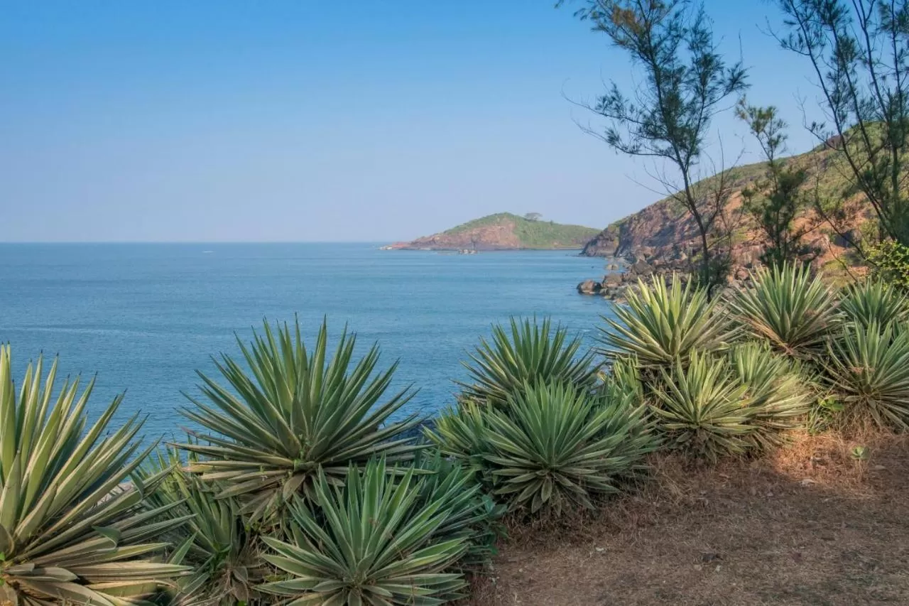 View (from property/room) in Red Earth - Gokarna