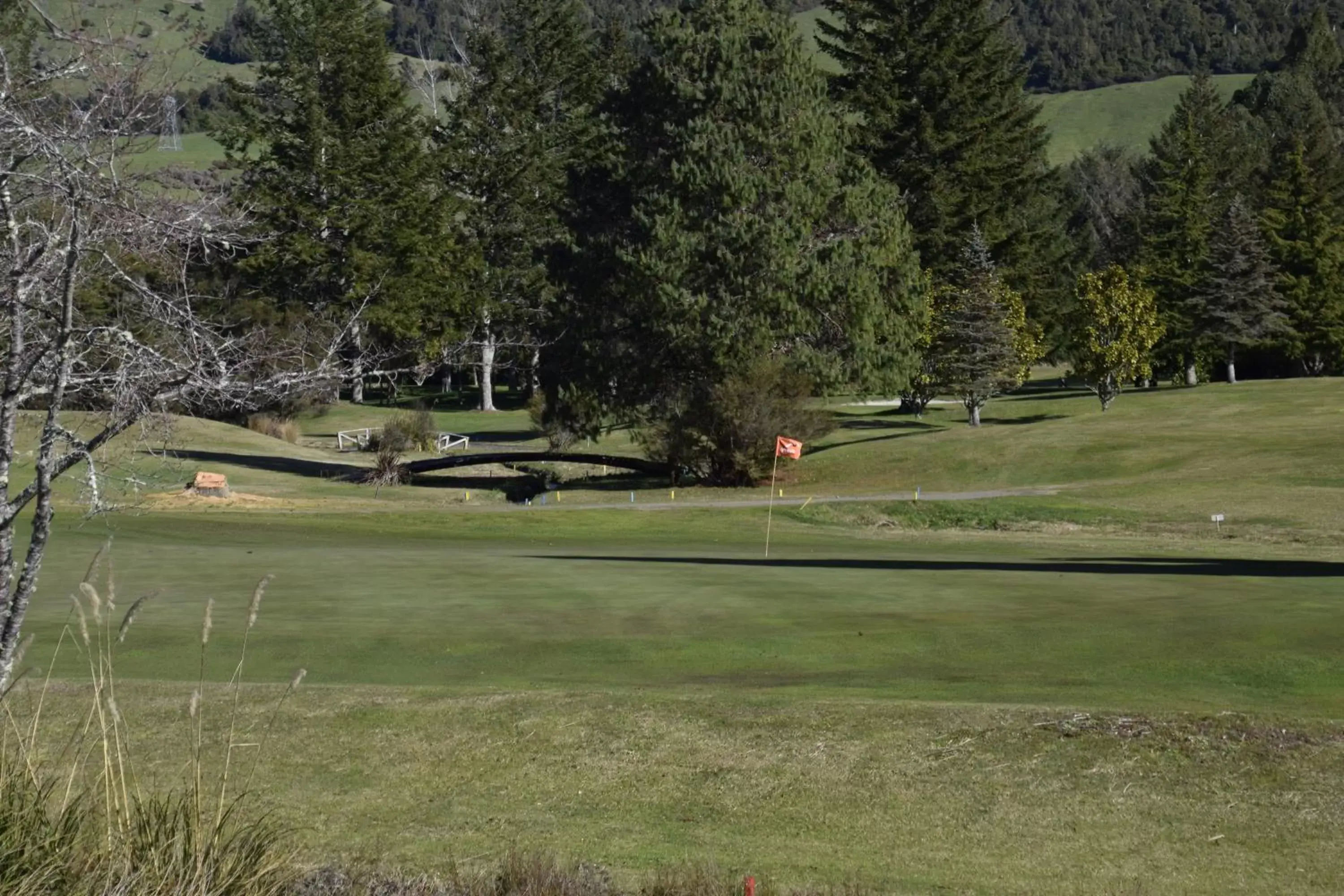 Golfcourse, Golf in Judges Pool Motel Turangi