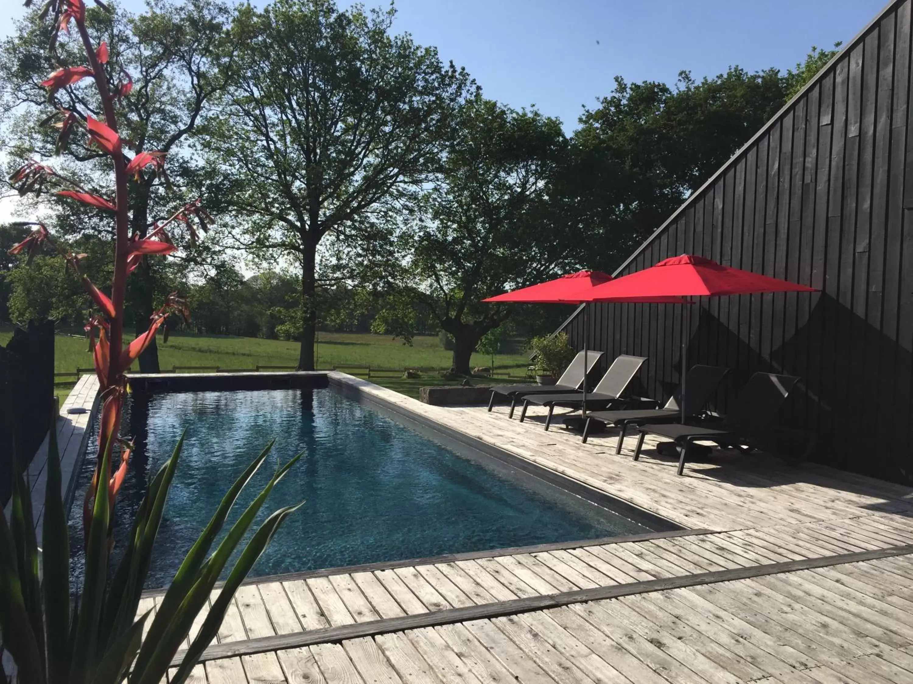 Swimming Pool in Le Clos du Gusquel