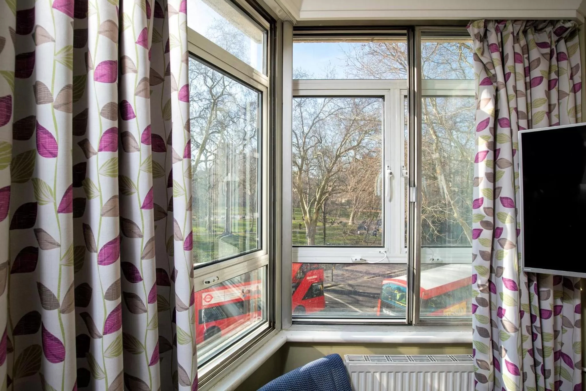 Garden view in President Hotel