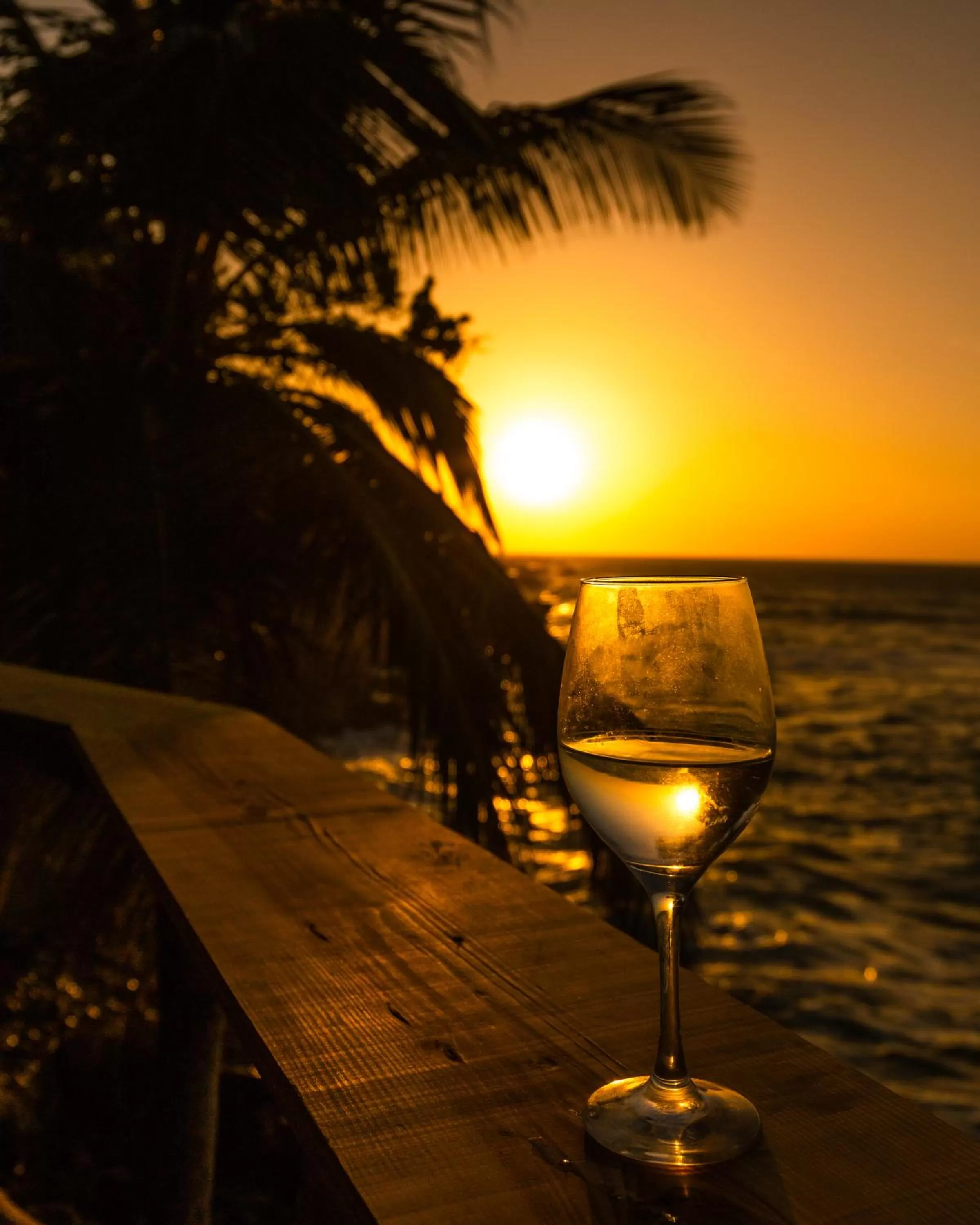 Cabarete Maravilla Eco Lodge Boutique Beach Surf Encuentro, Kite, by AA Crypto Group