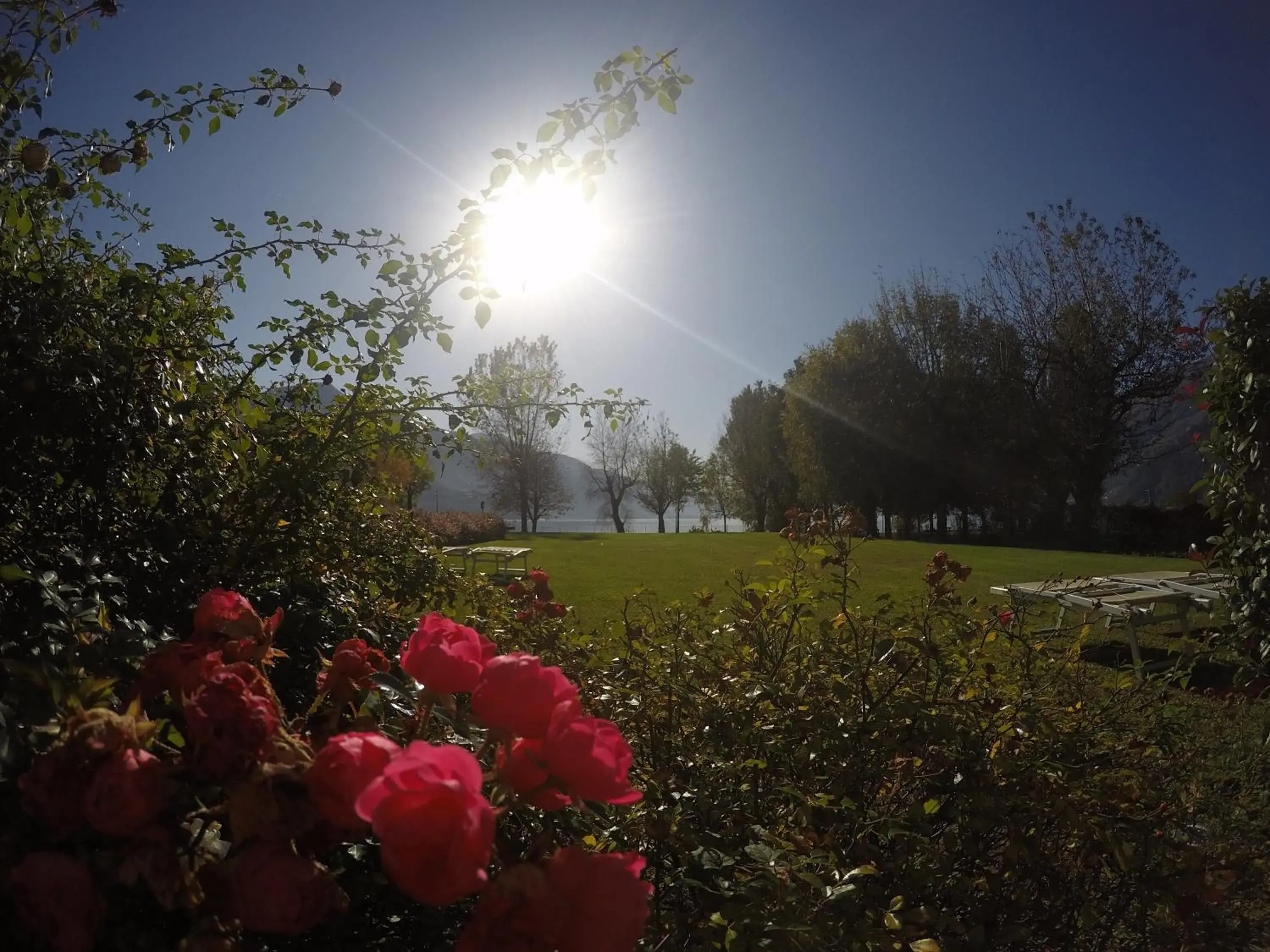 Garden in Tullio Hotel