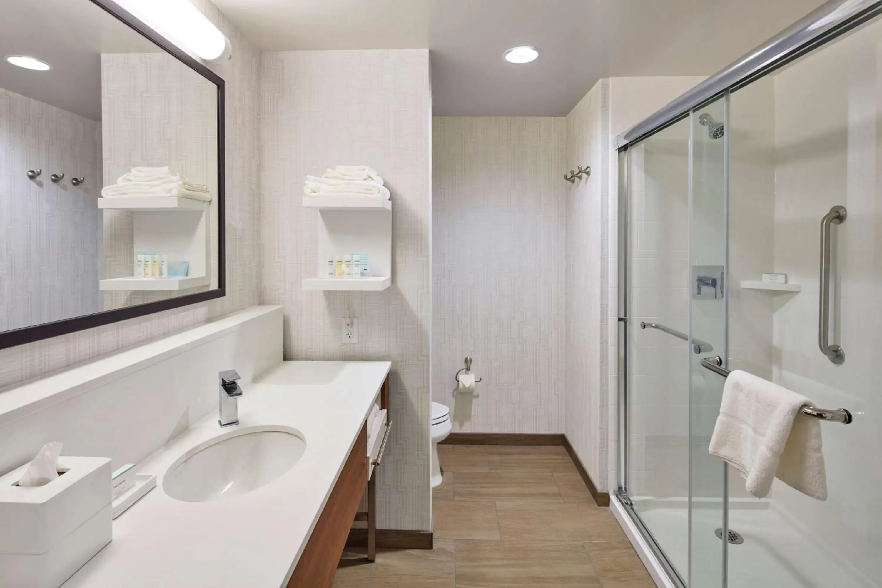 Bathroom in Hampton Inn & Suites Sacramento at CSUS