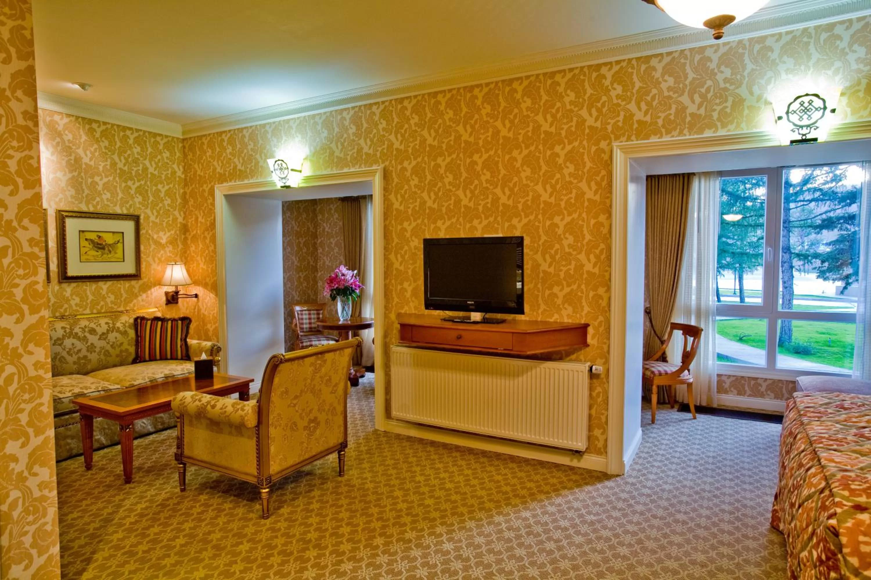 TV and multimedia in Terelj Hotel & Spa