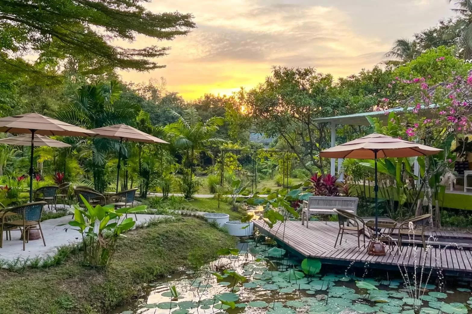 Restaurant/places to eat in Baan Bua Cottage SHA EXTRA PLUS B5510