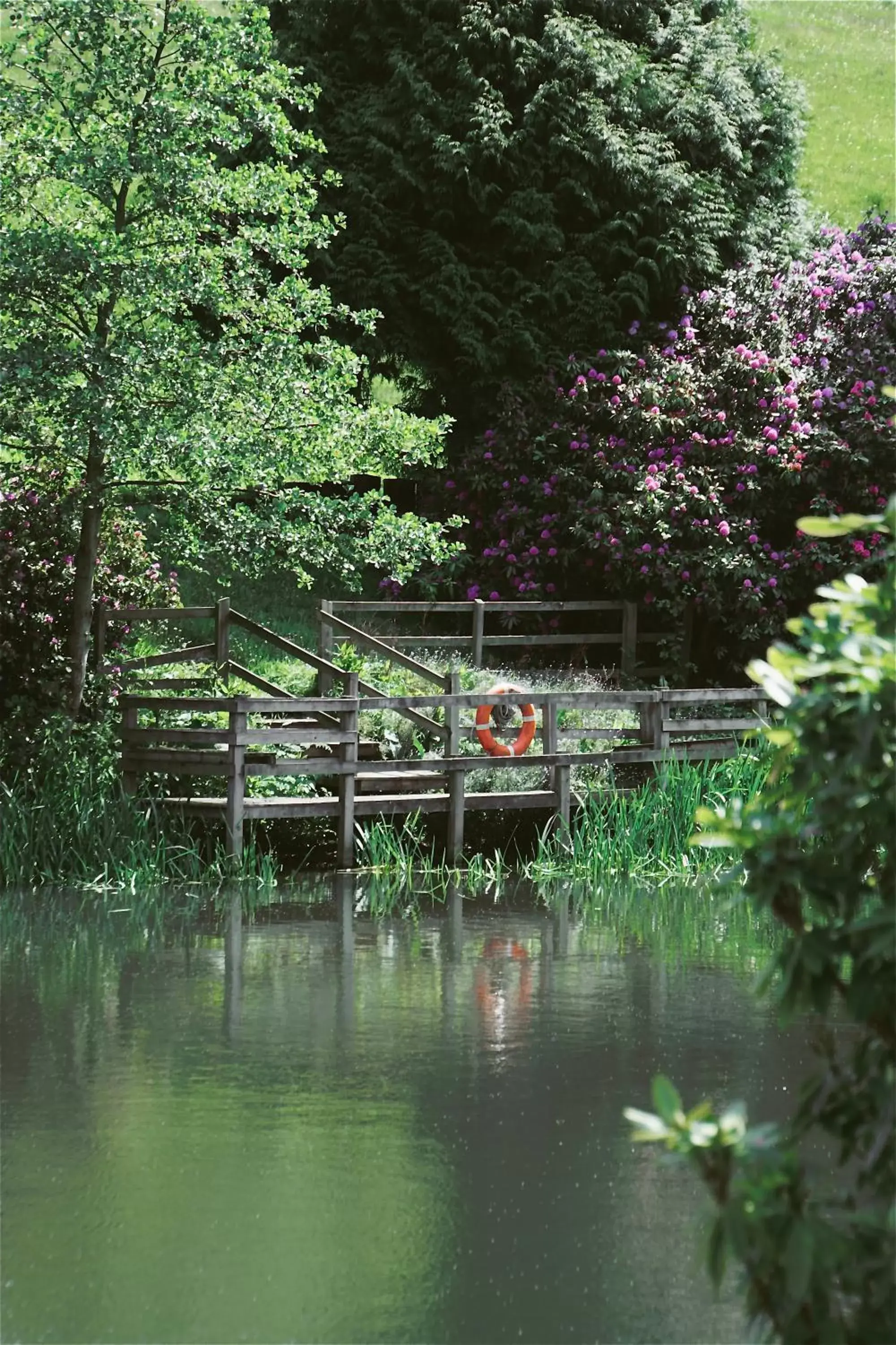 Lake view in Saltmoore Lake view in Saltmoore