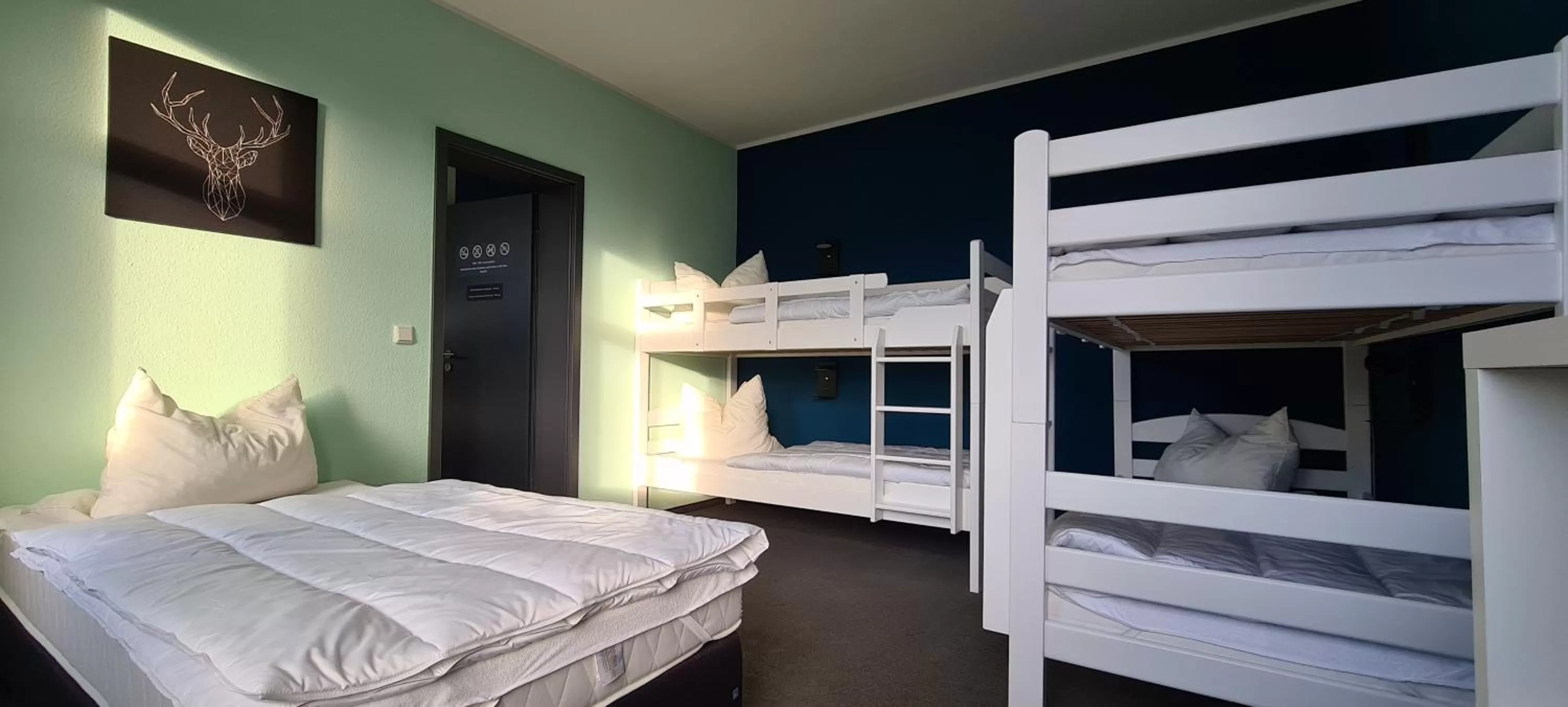 Photo of the whole room, Bunk Bed in Harz Hostel