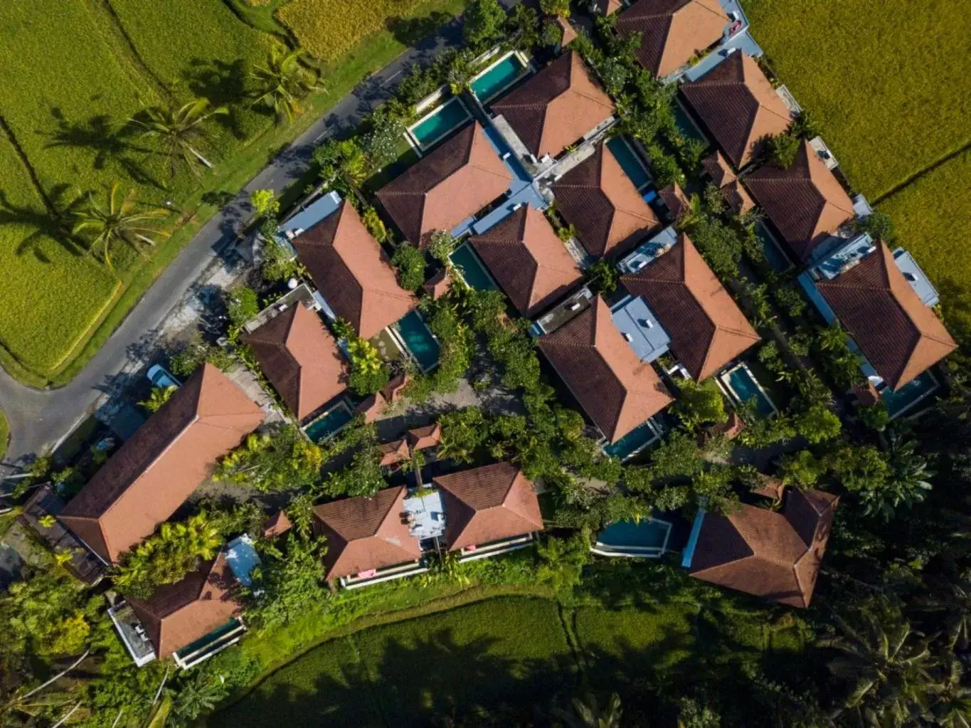 Bird's eye view, Bird's-eye View in Dedary Resort Ubud by Ini Vie Hospitality