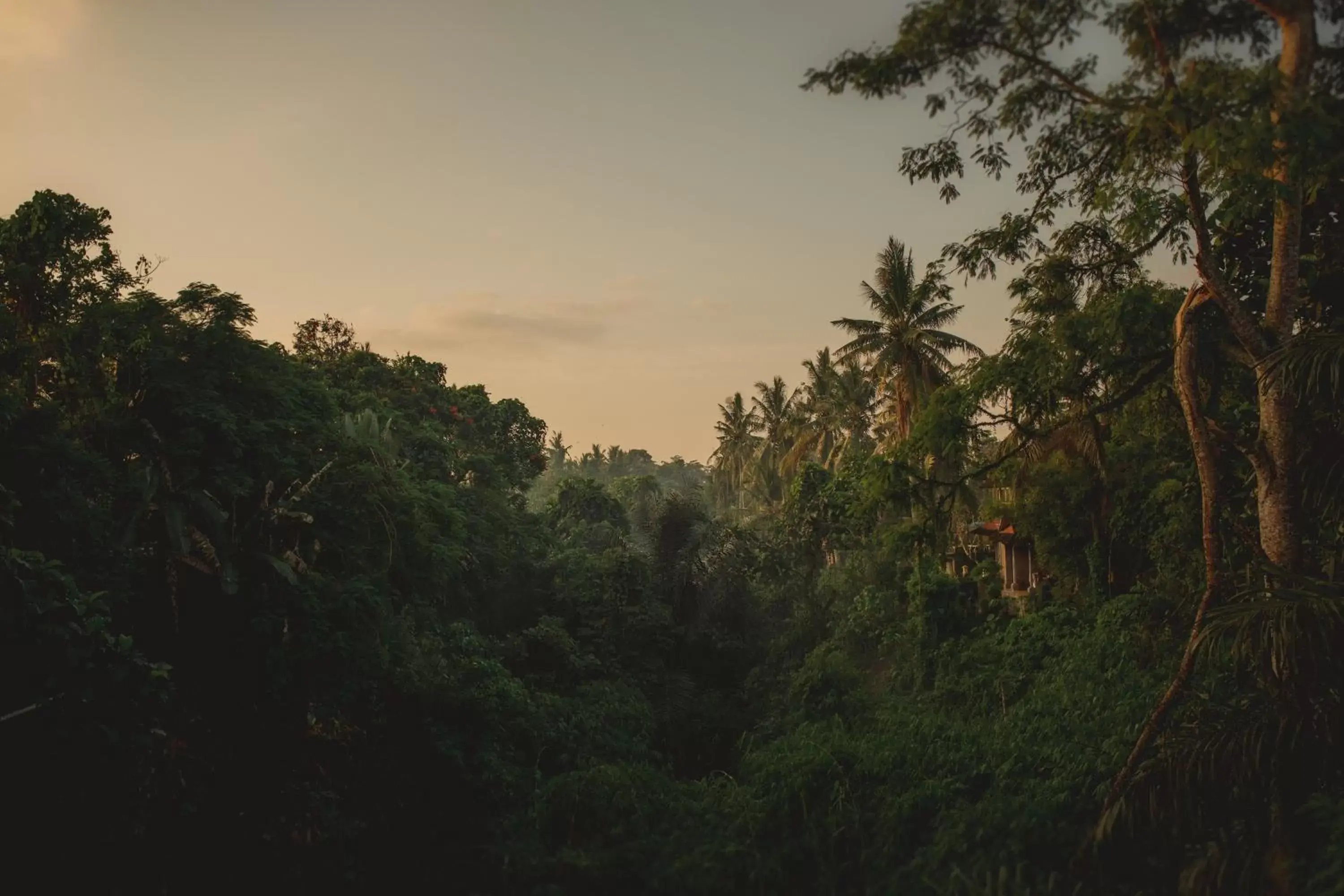 Natural Landscape in B Saya Villas