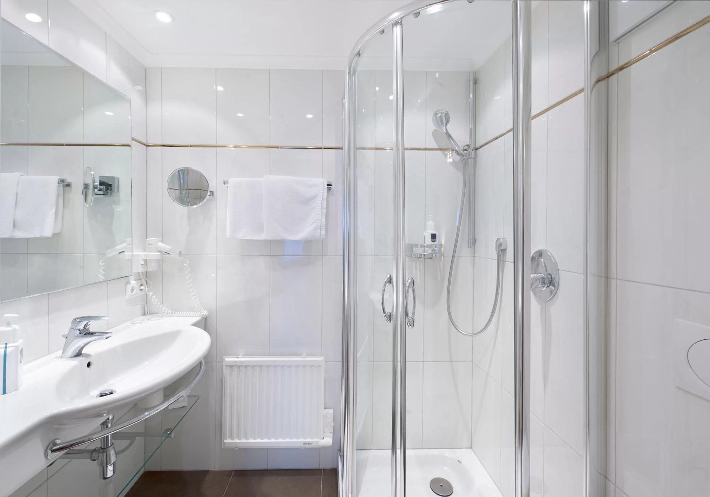 Shower in Hotel Goldener Löwe