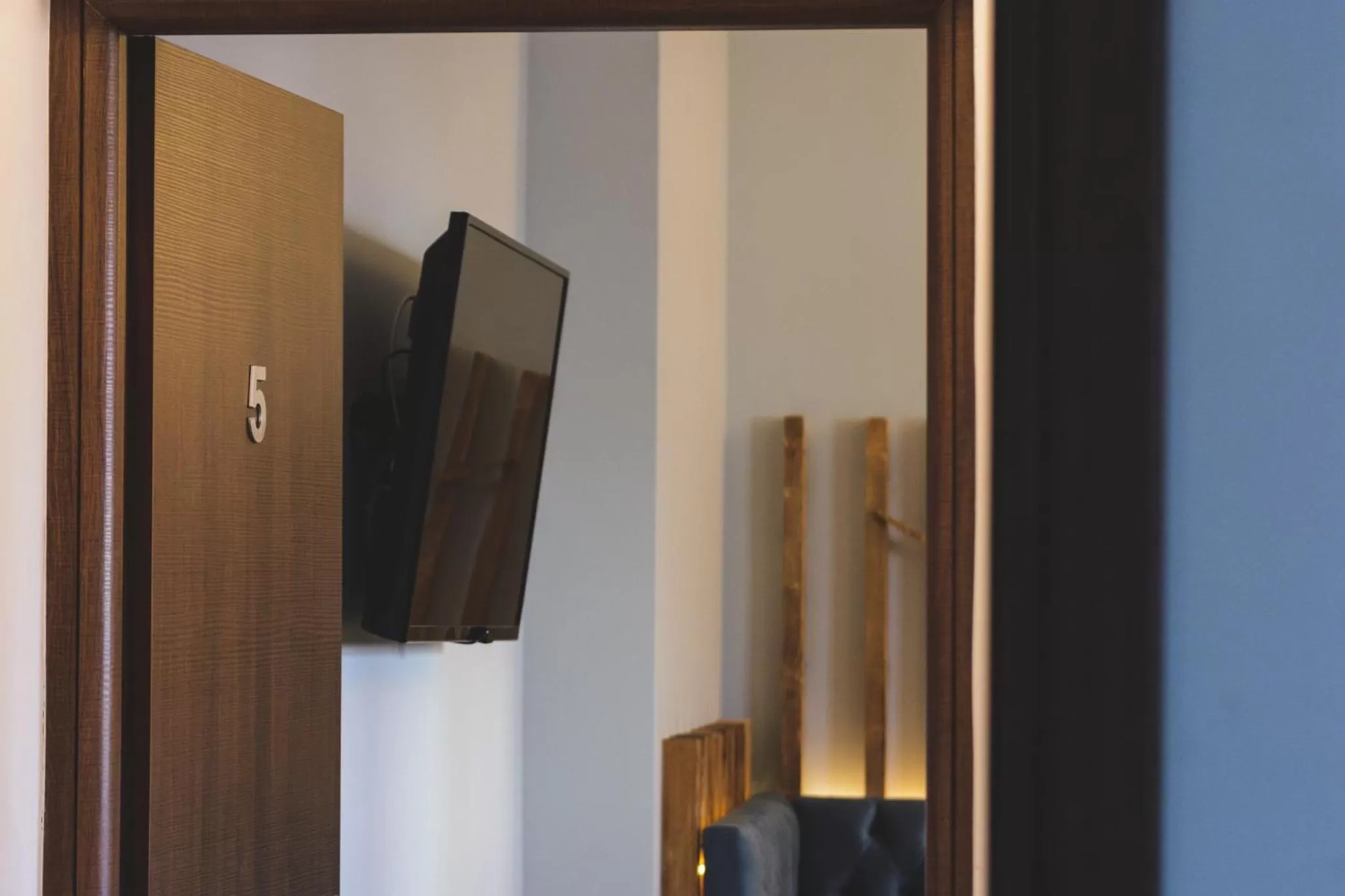 TV and multimedia in Dome Rooms Downtown