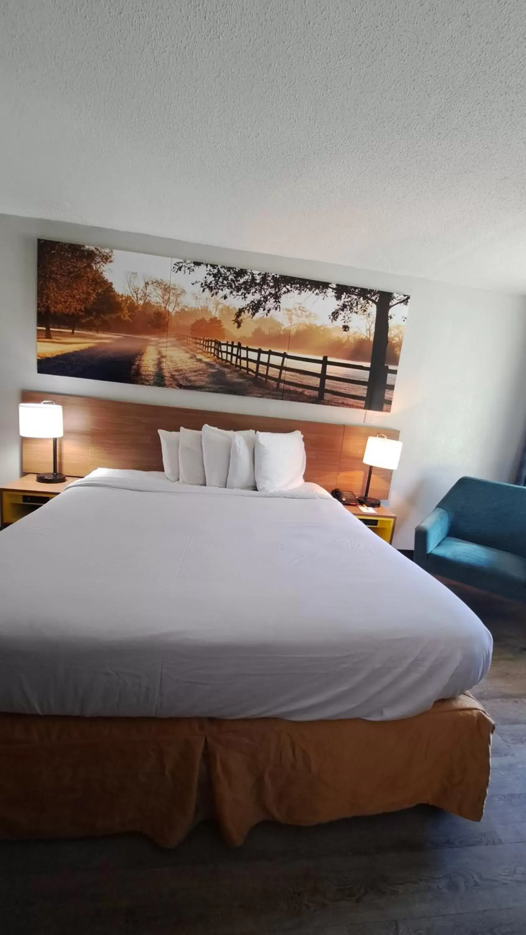 Bedroom, Bed in Days Inn & Suites by Wyndham Rocky Mount Golden East