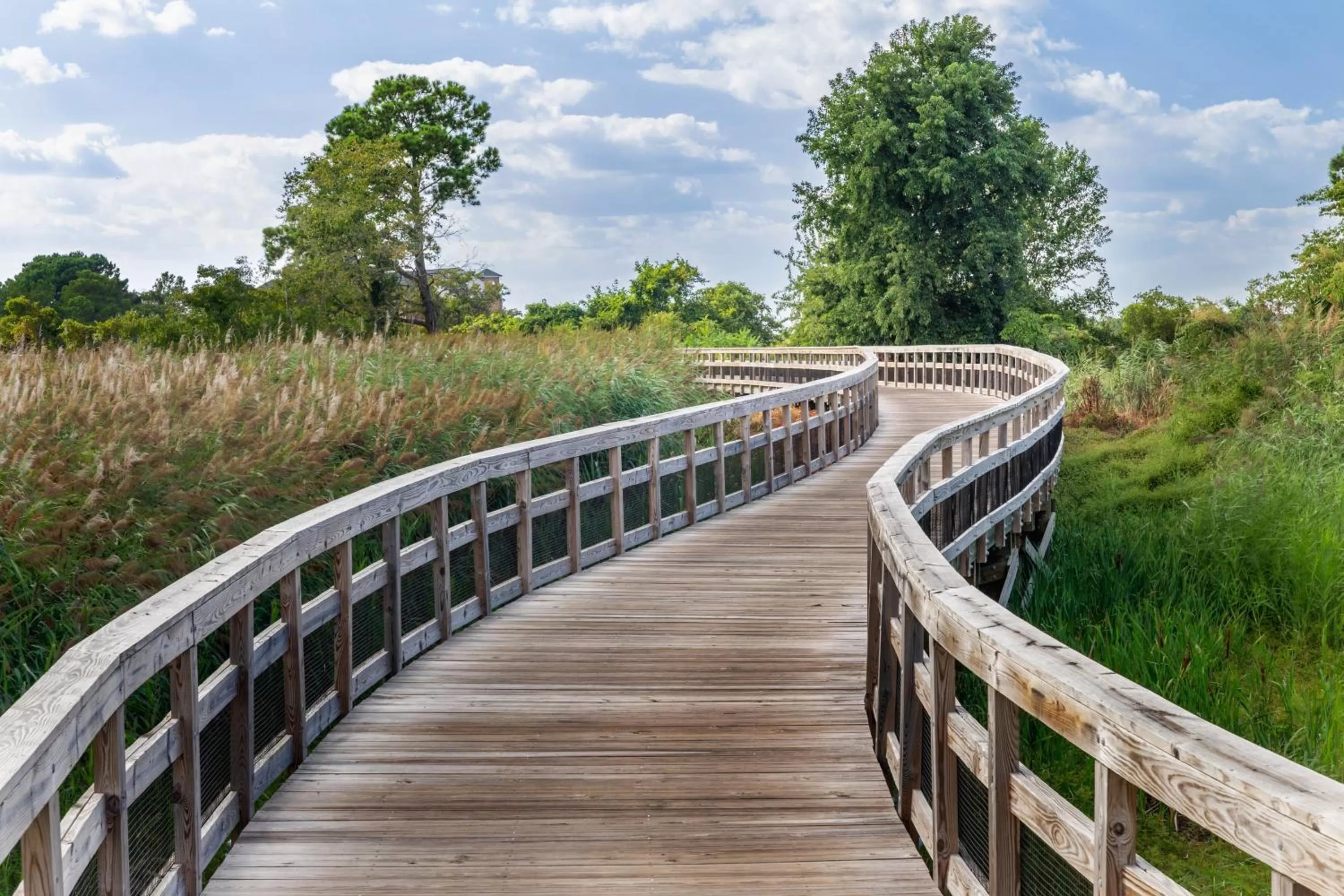 Nearby landmark in Holiday Inn Express Annapolis East-Kent Island by IHG