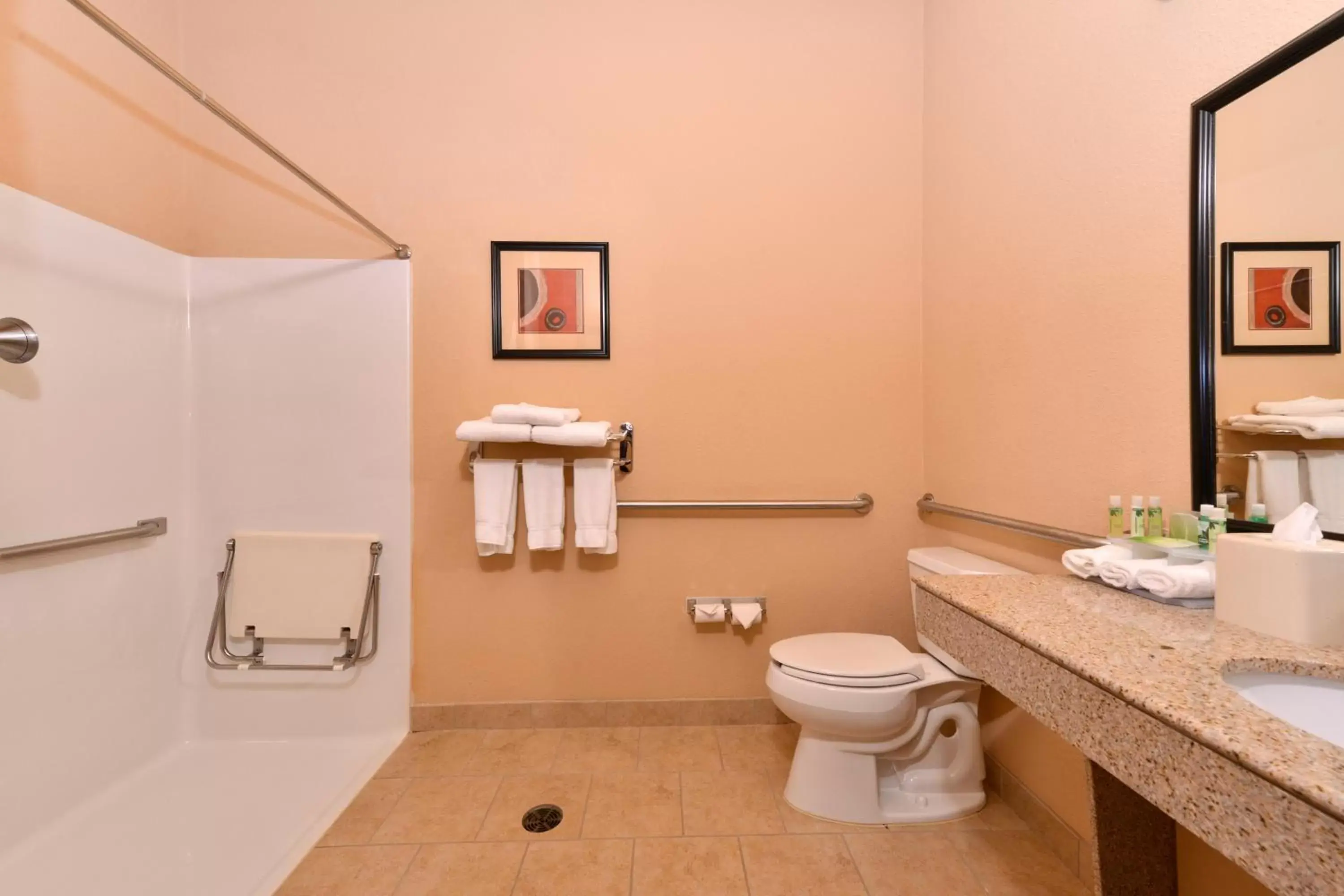 Bathroom in Holiday Inn Express & Suites Van Buren-Fort Smith Area, an IHG Hotel