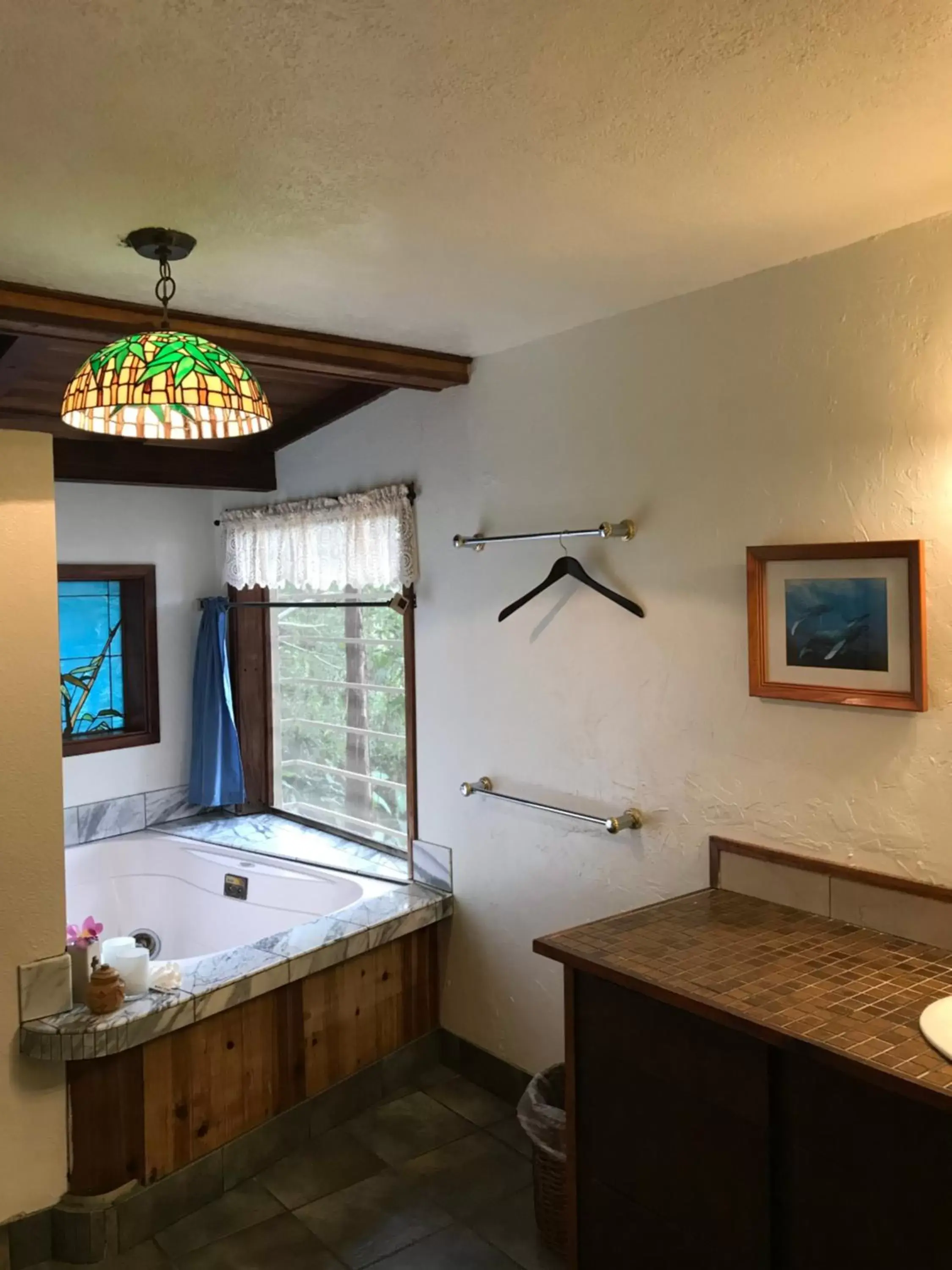 Bathroom in Hale Maluhia Country Inn