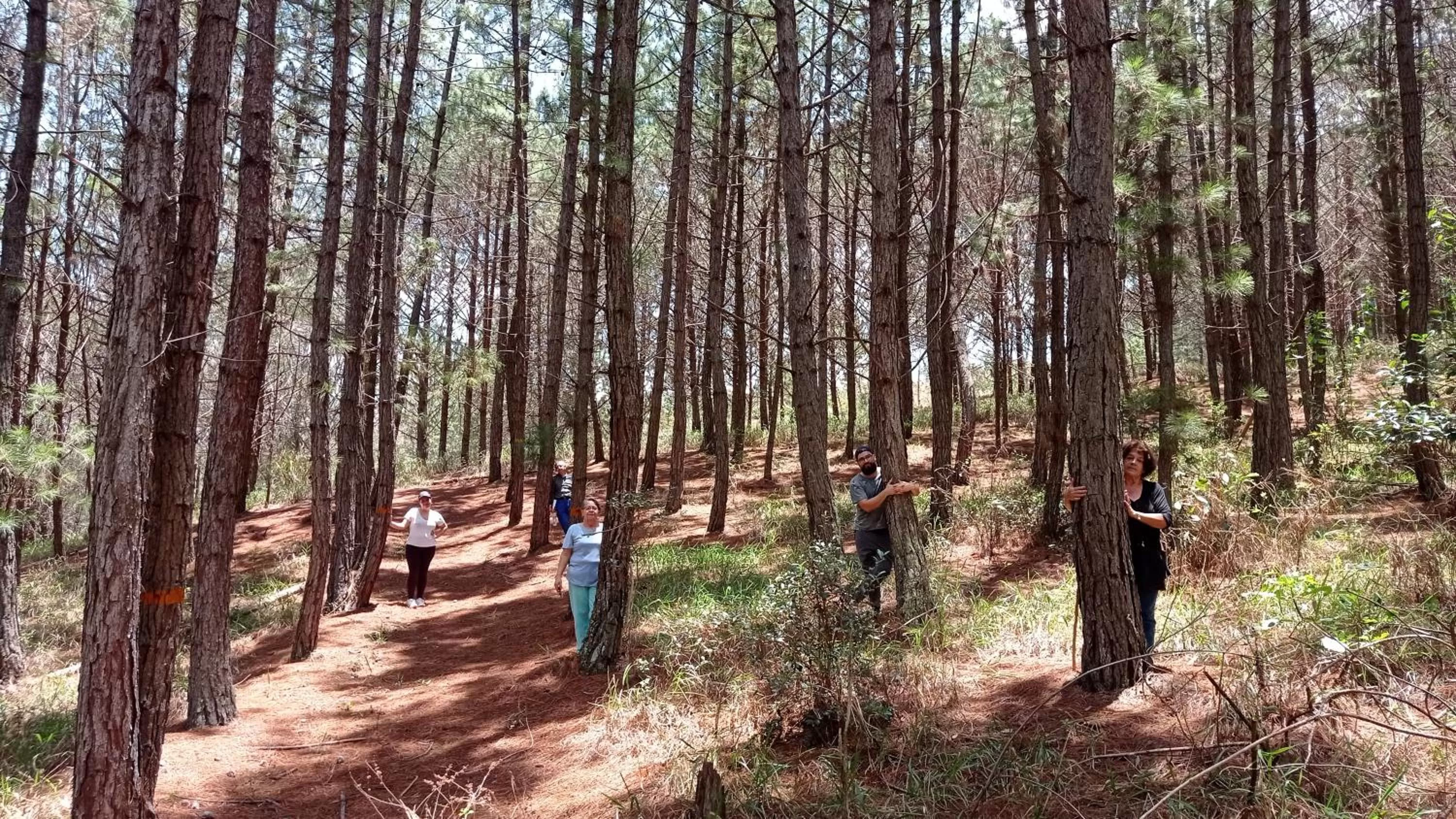 Natural landscape in Hotel Finca Buenos Aires Barichara