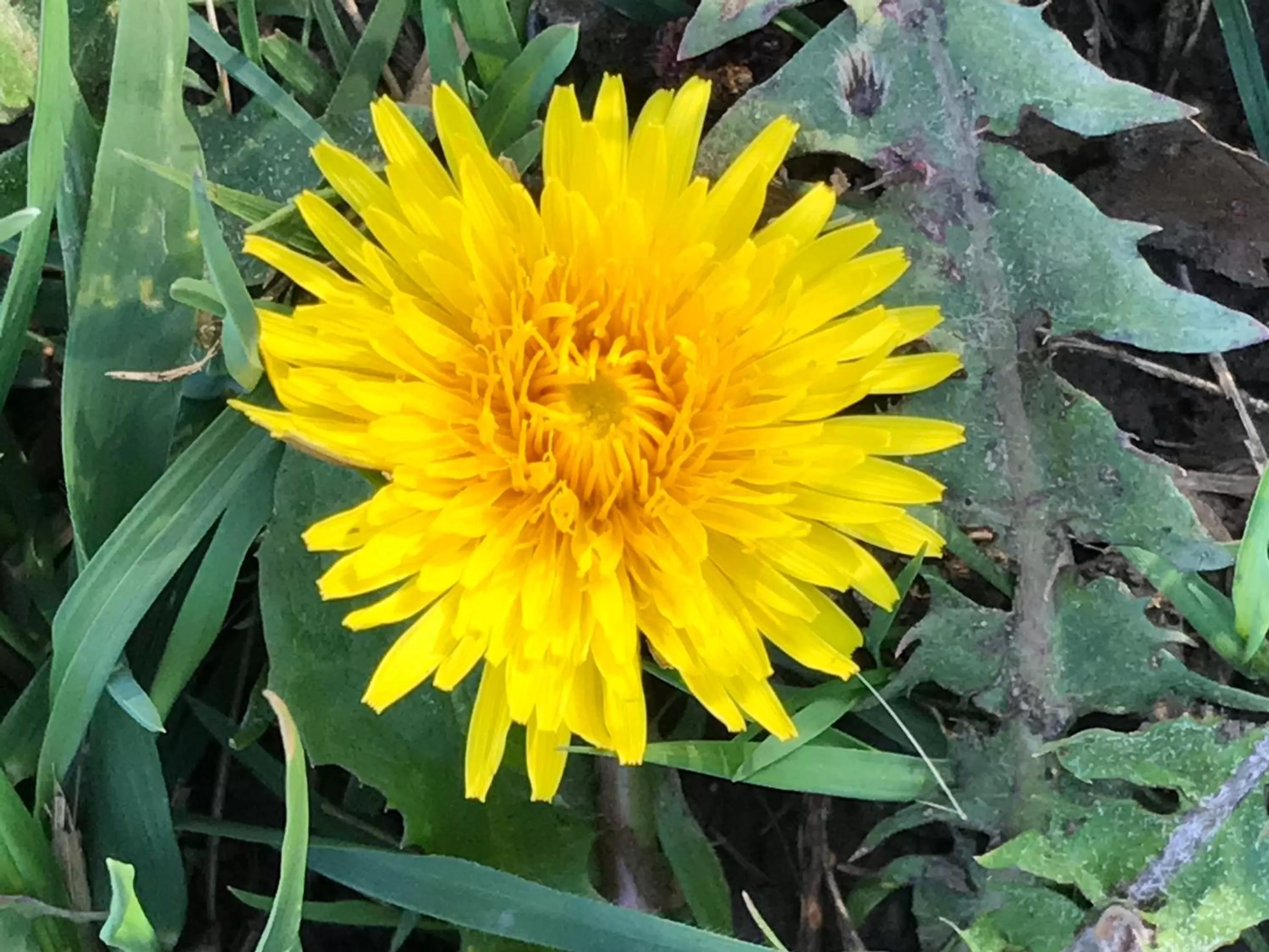 Spring in Bed and Breakfast Bavaria München