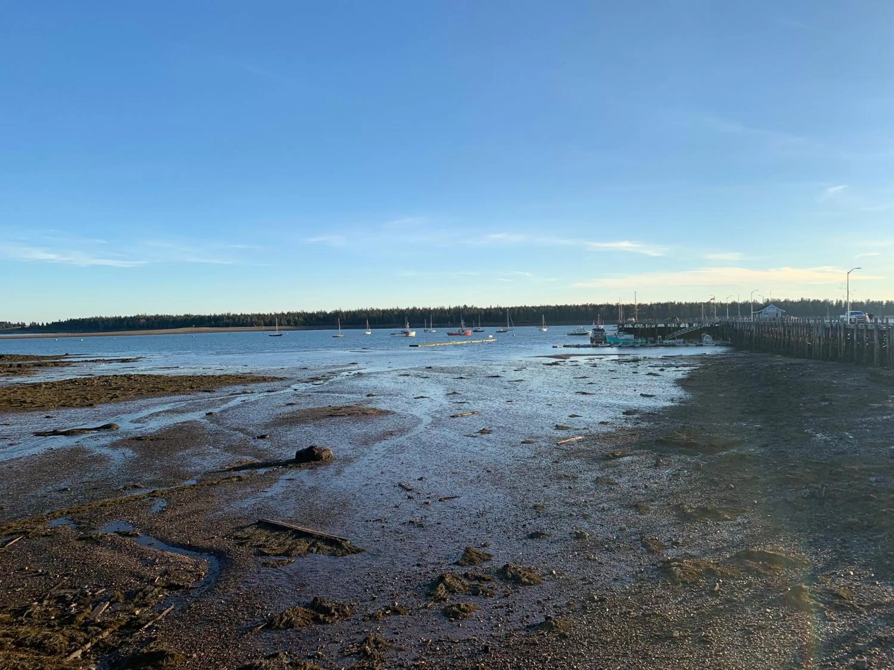 Beach in Kennedy House