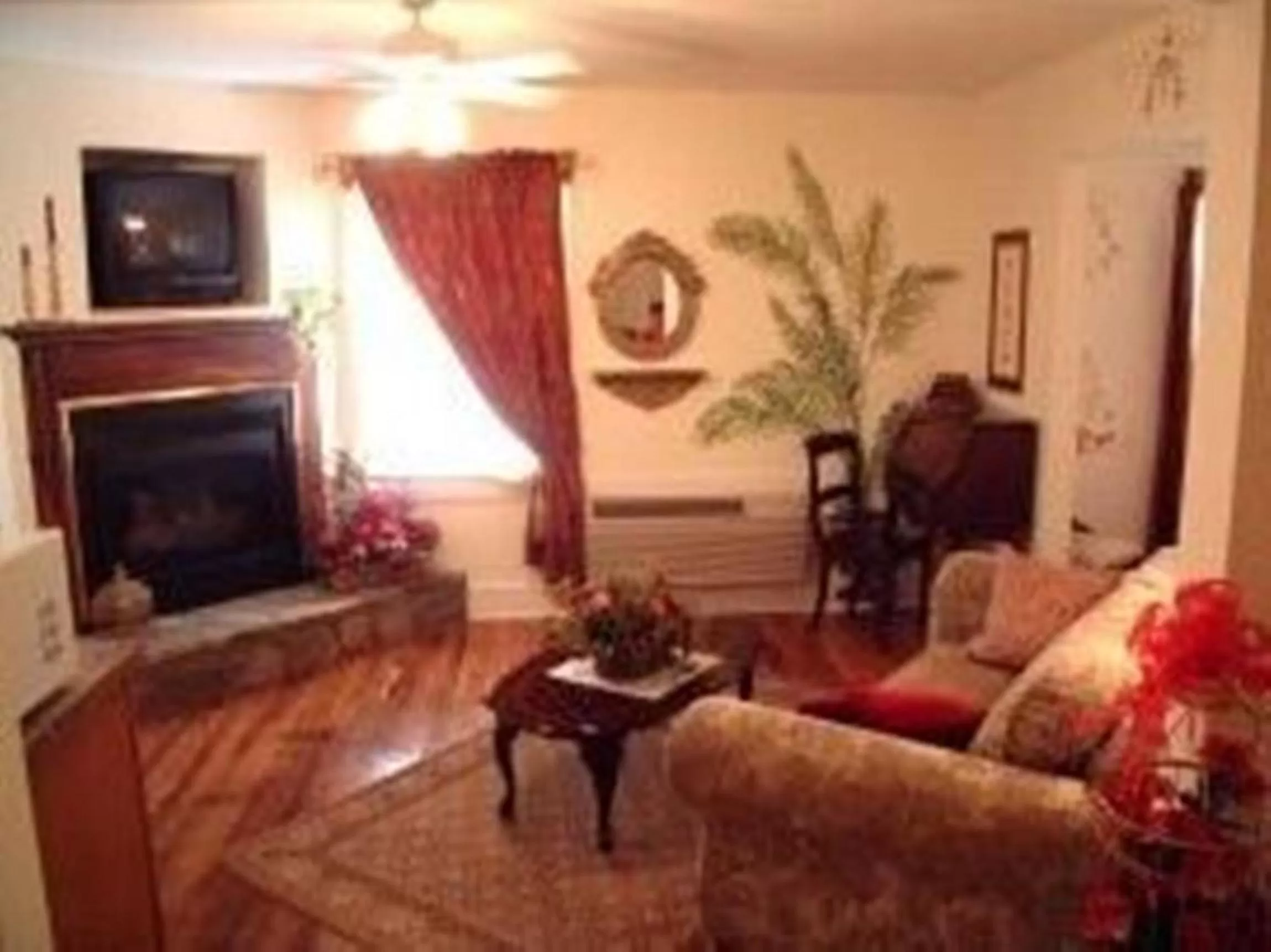 Communal lounge/ TV room, Seating Area in Black Forest Bed & Breakfast