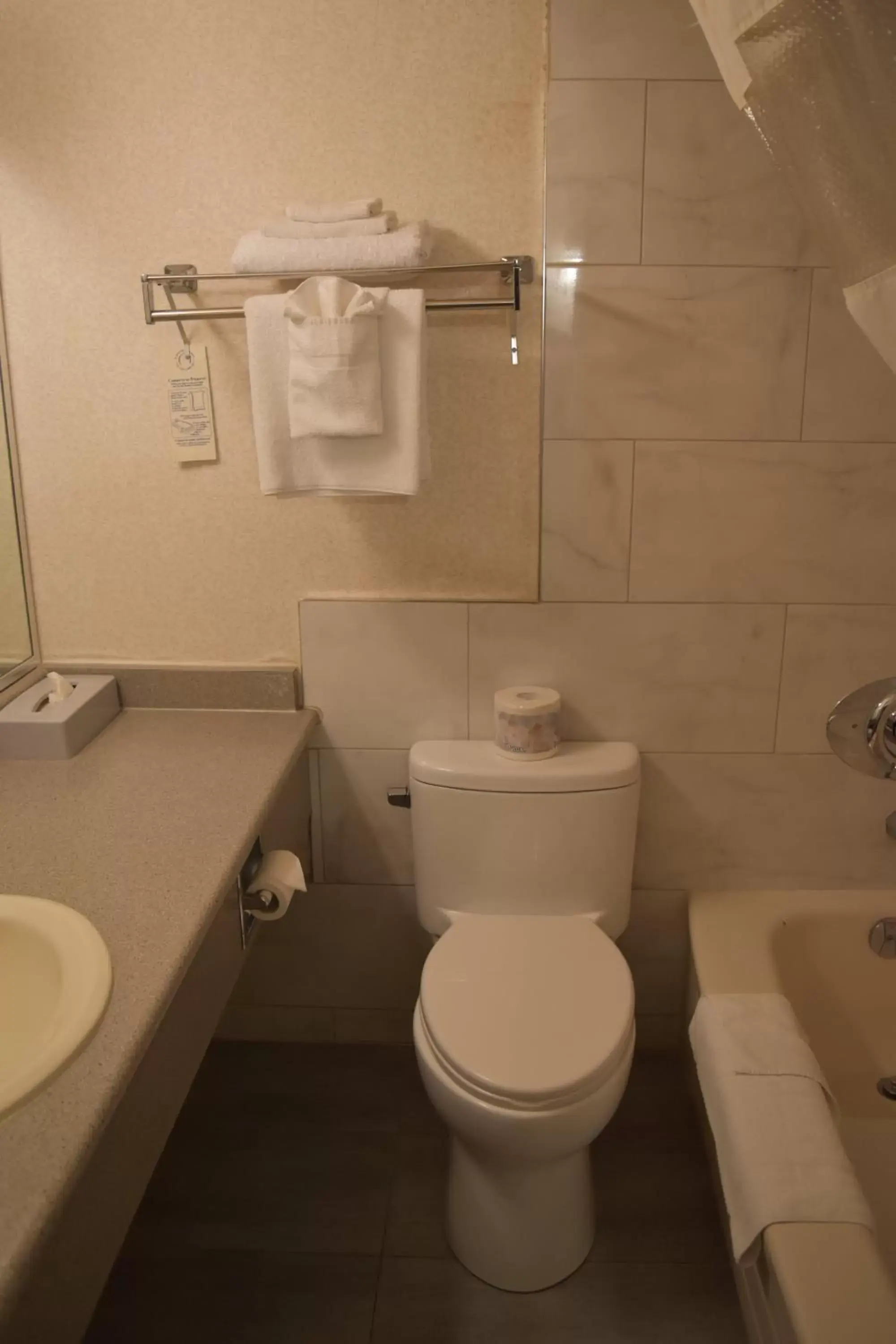 Bathroom in Canadas Best Value Inn & Suites-Castlegar