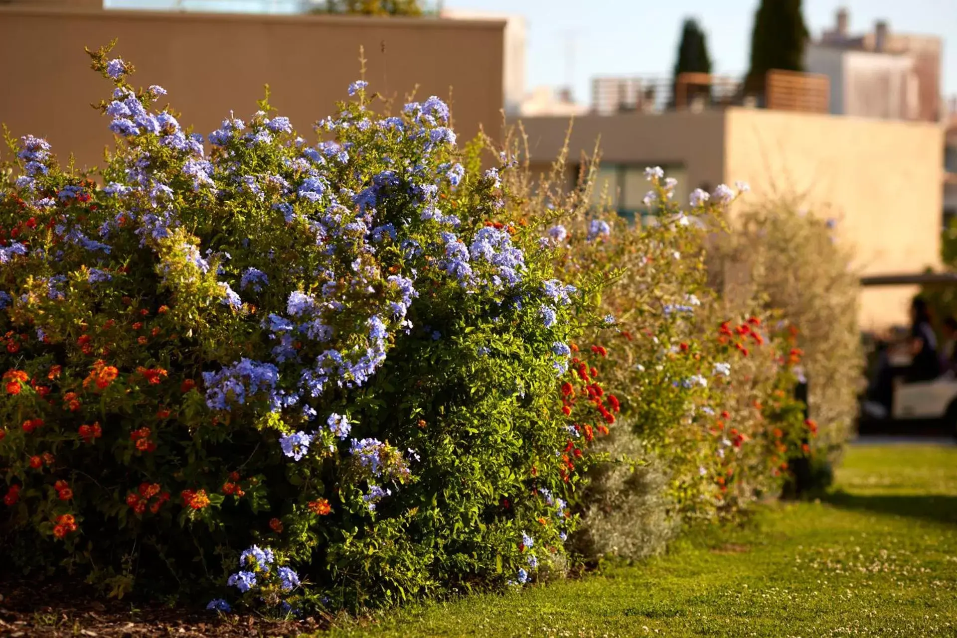 Garden in White Shell Beach Villas