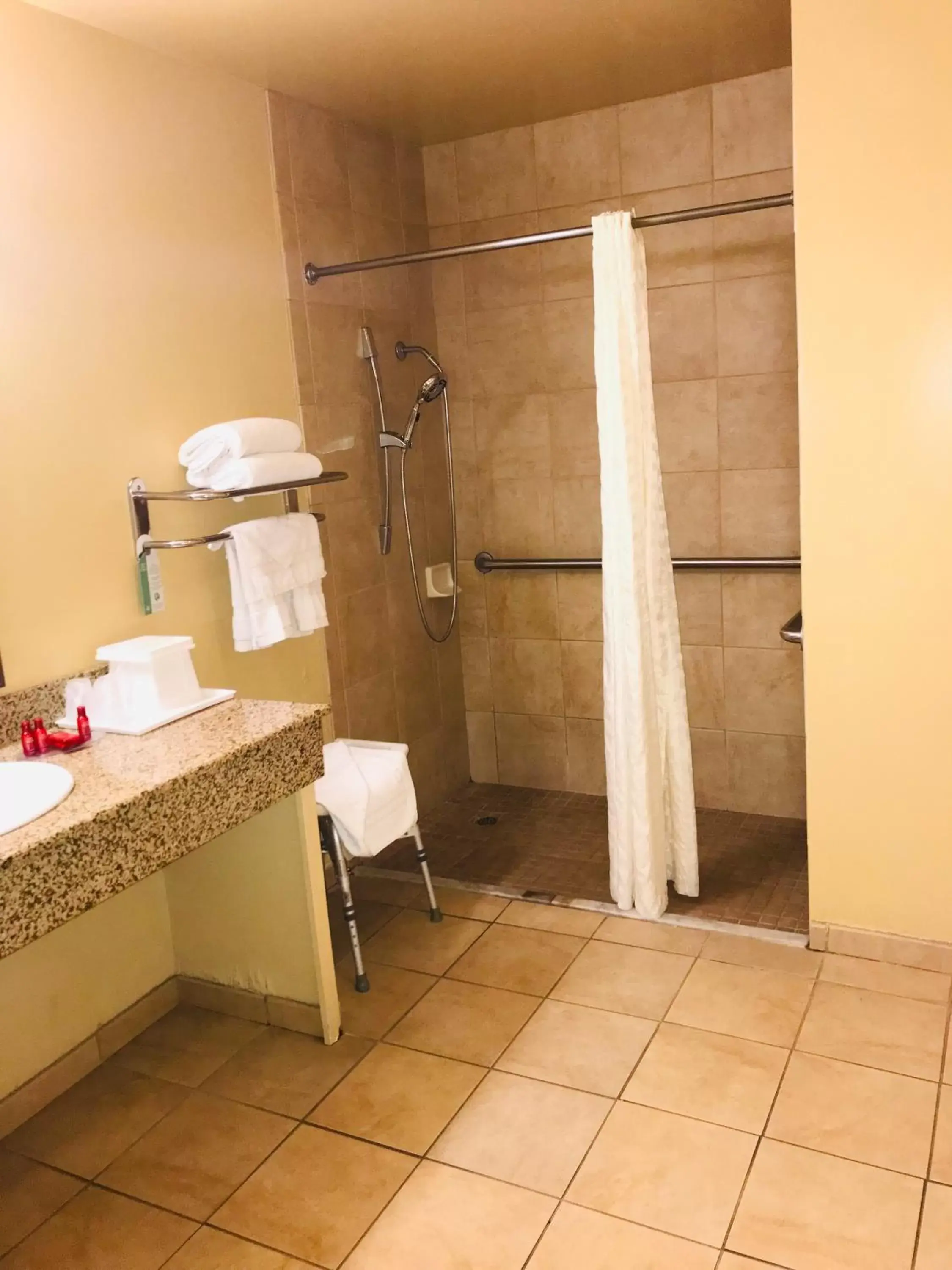 Bathroom in SureStay Plus Hotel by Best Western San Bernardino South