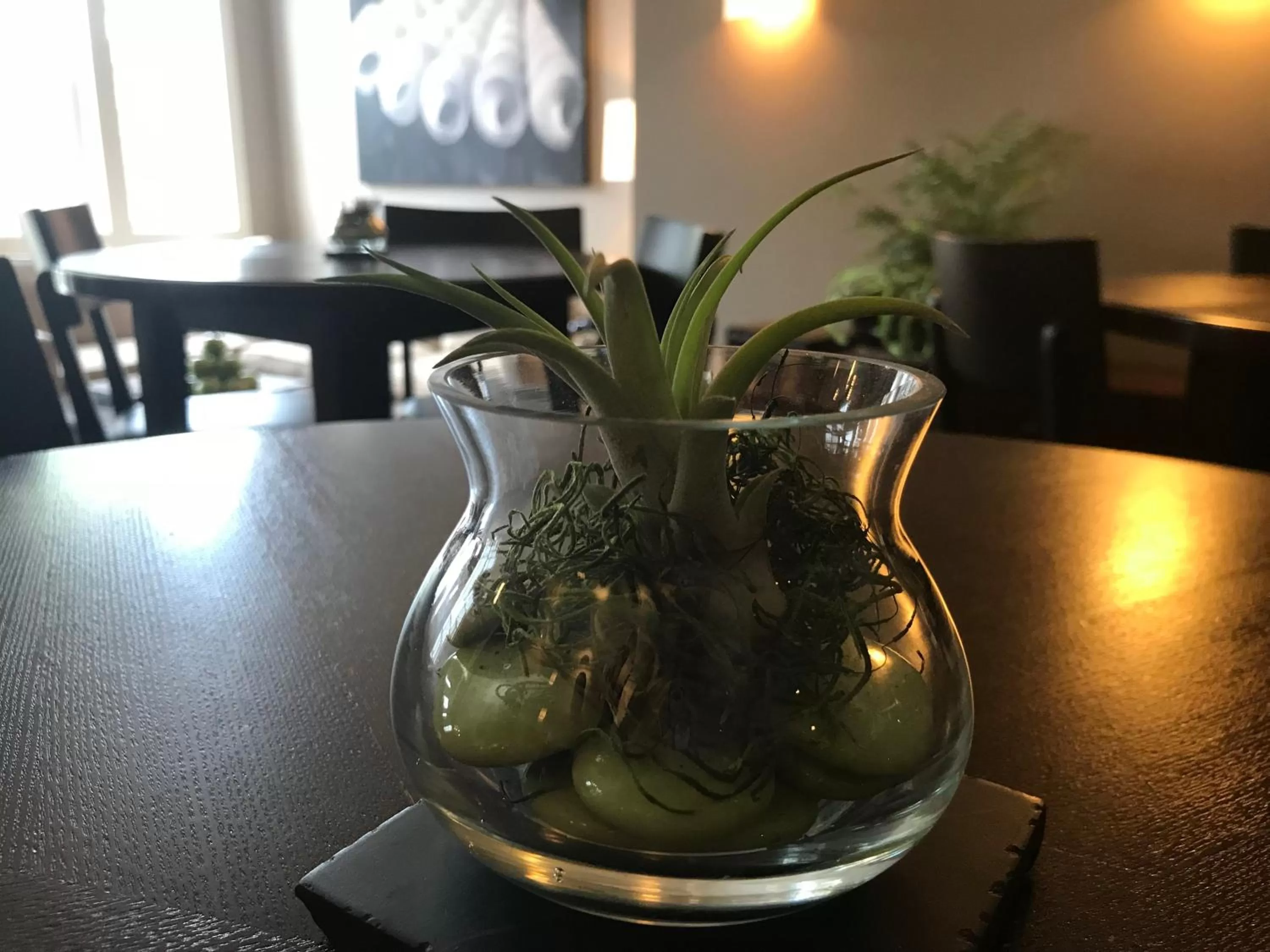 Decorative detail in Bird Rock Hotel