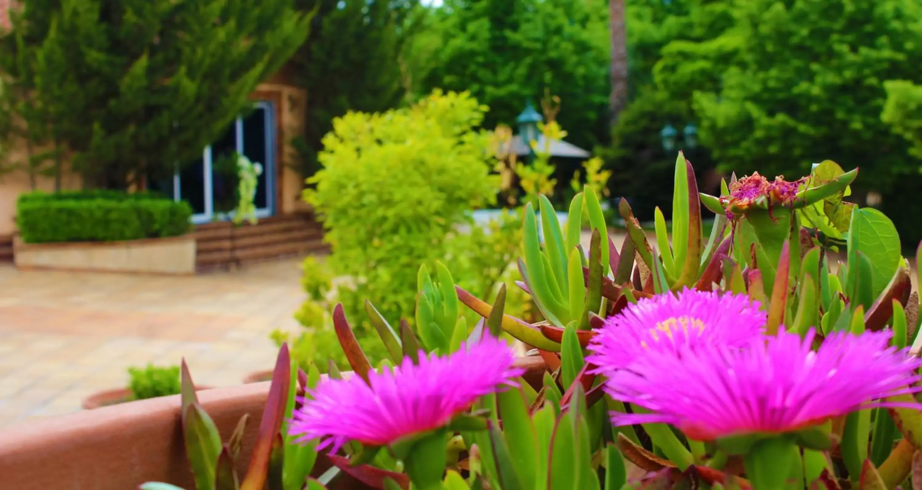 Spring, Garden in Alambique - Hotel Resort & Spa