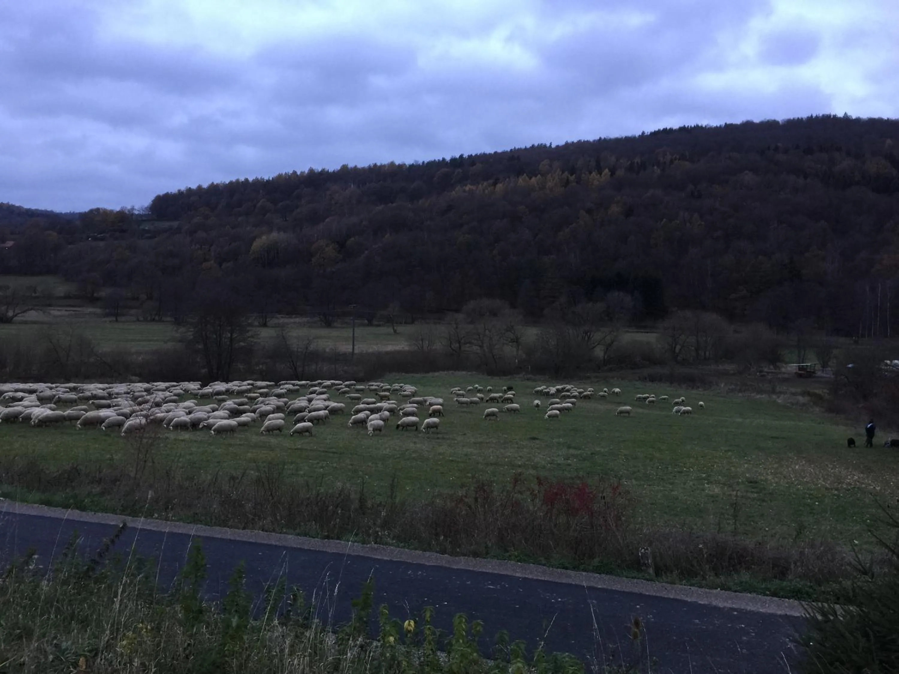 View (from property/room) in Landhotel Weisses Ross garni