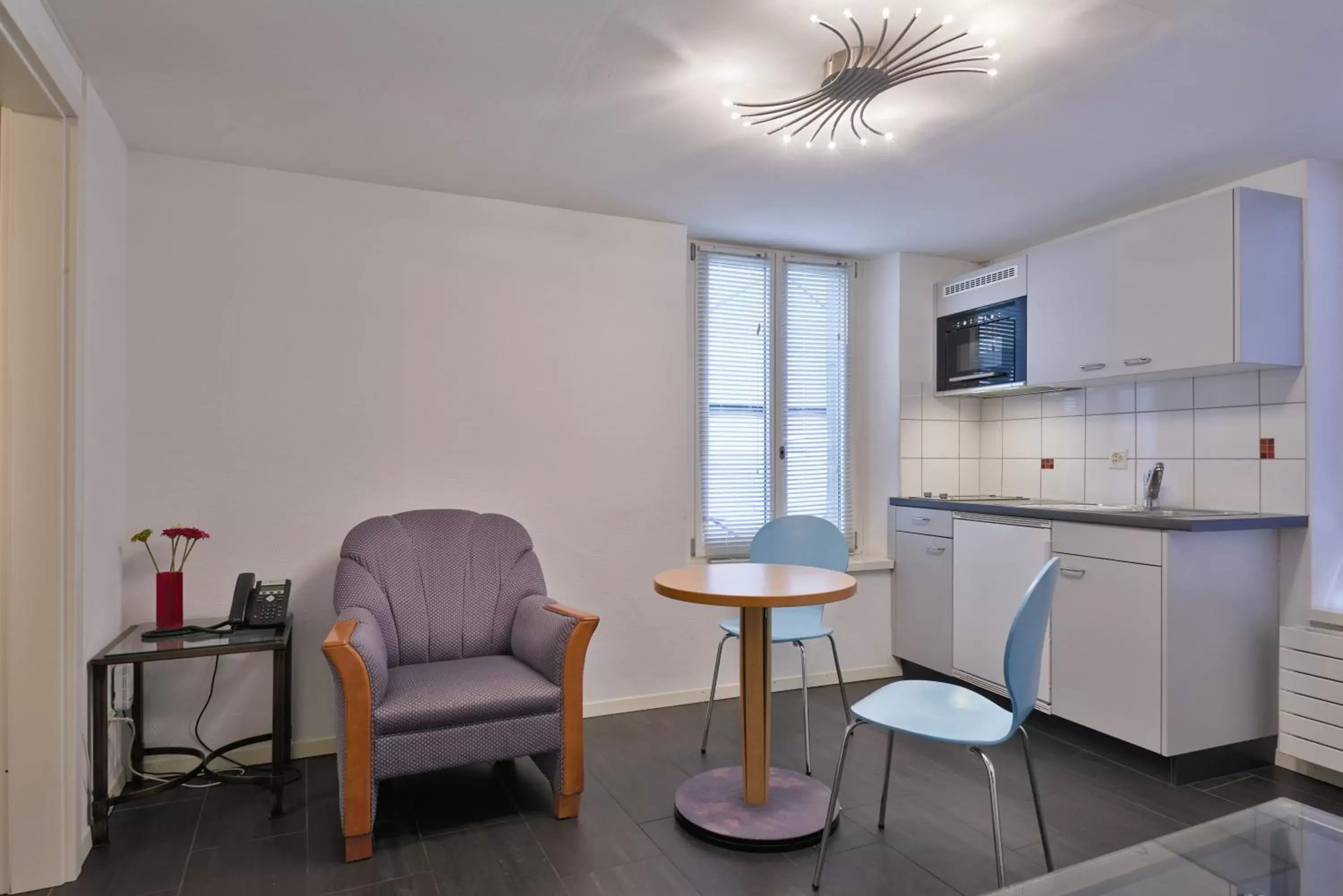 Kitchen or kitchenette, Seating Area in Aparthotel Hine Adon Fribourg