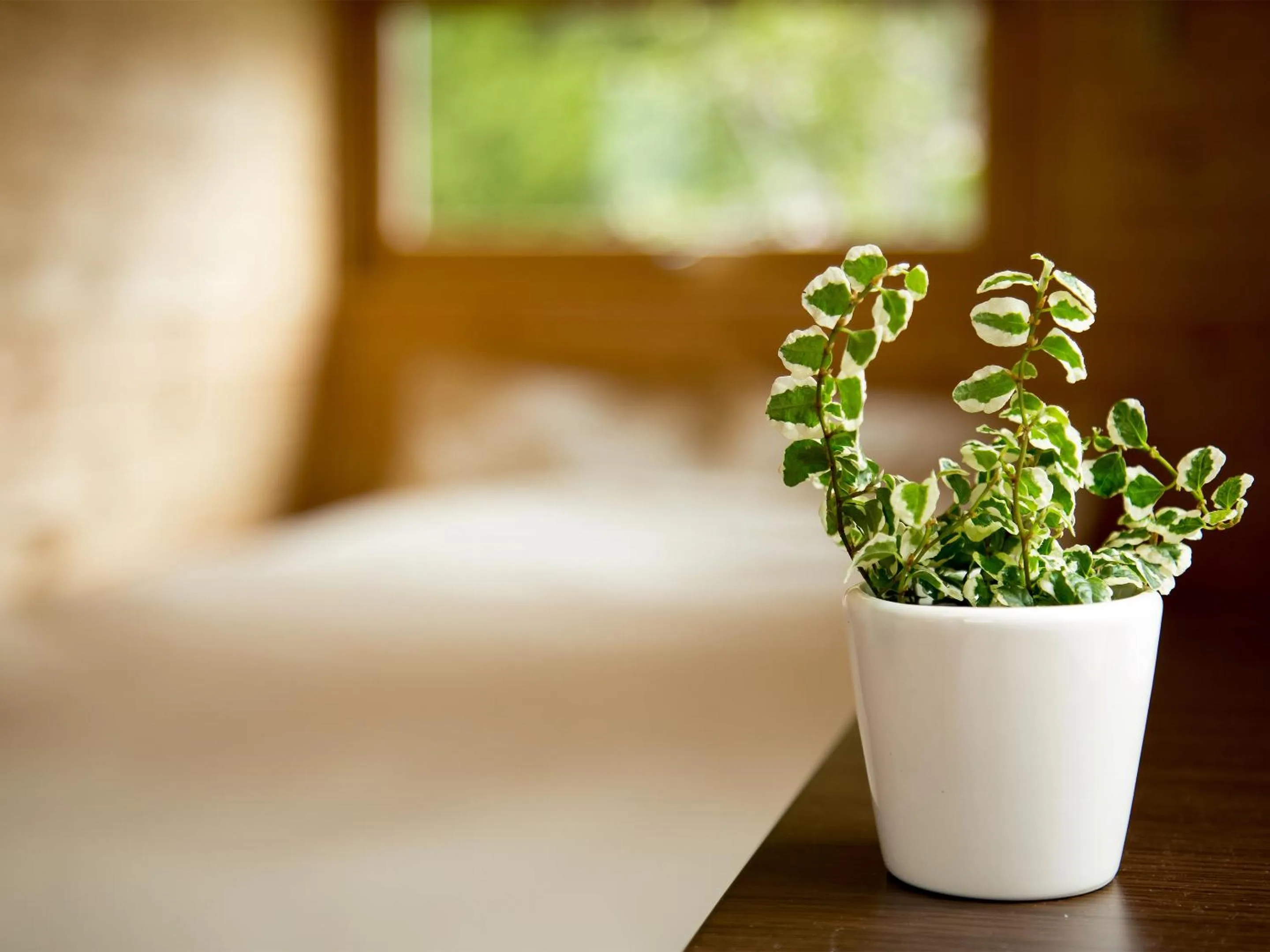Photo of the whole room, Bed in Brick House Furano