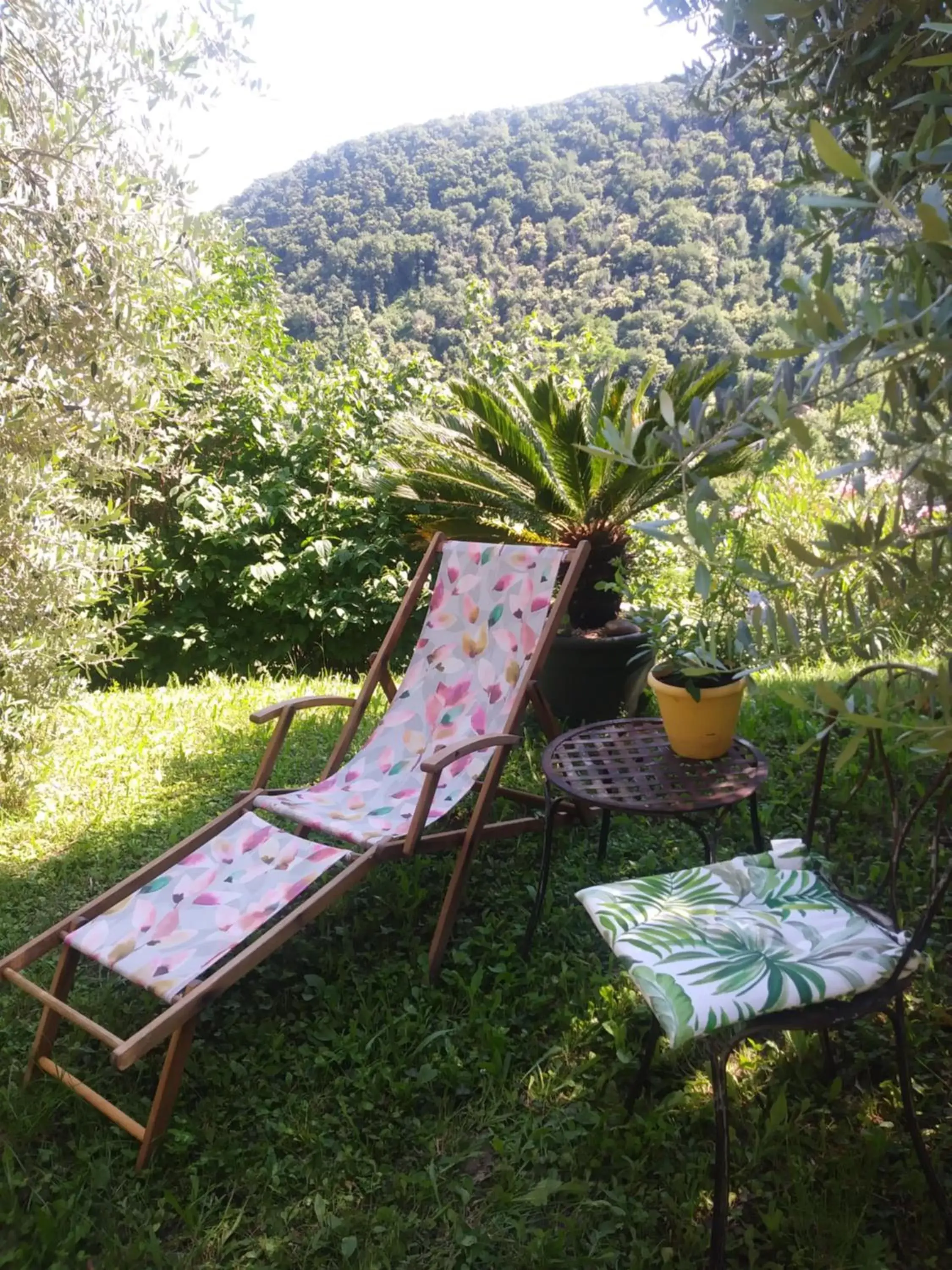 Garden view in Poggio del Sole