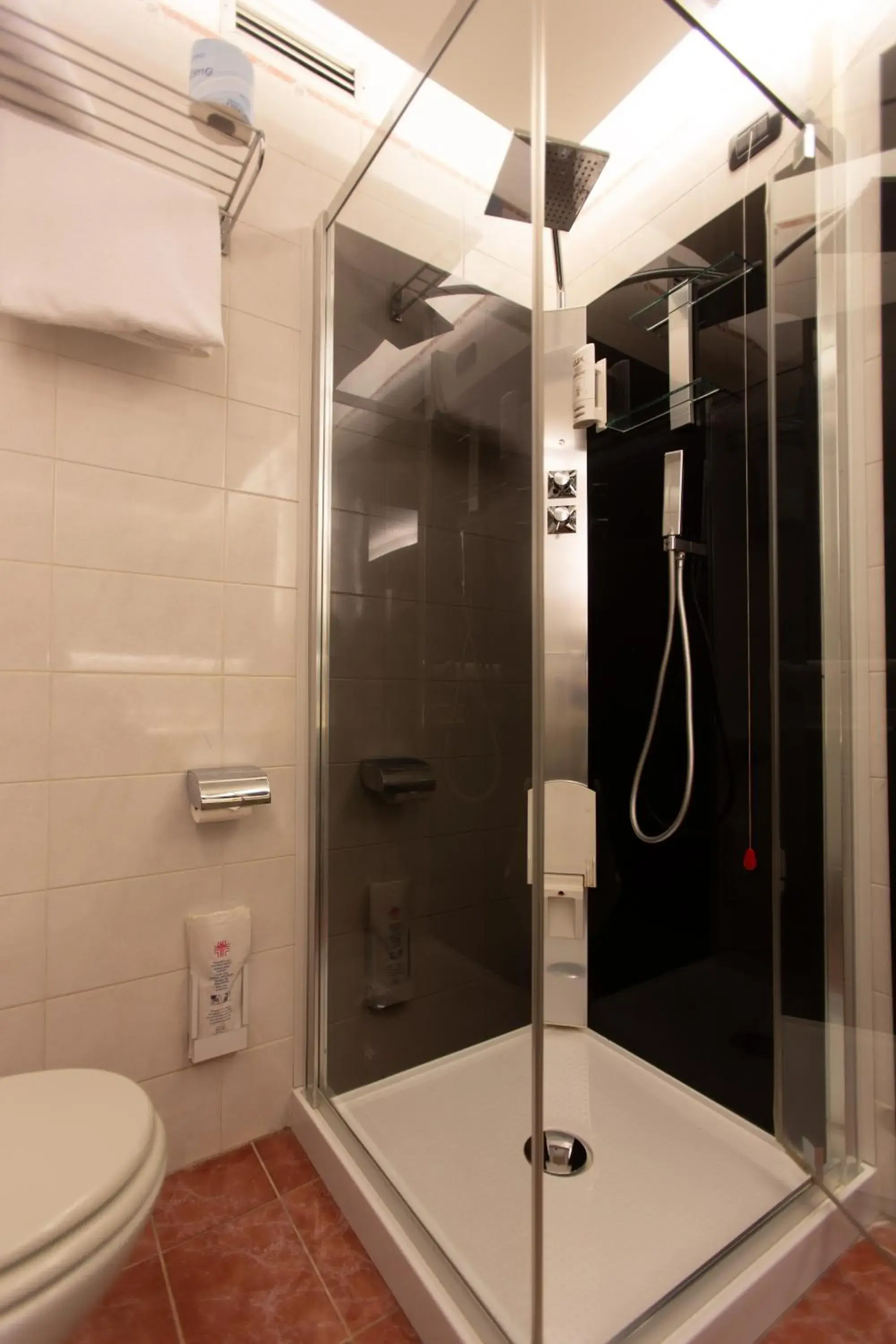 Shower, Bathroom in Hotel Pineta
