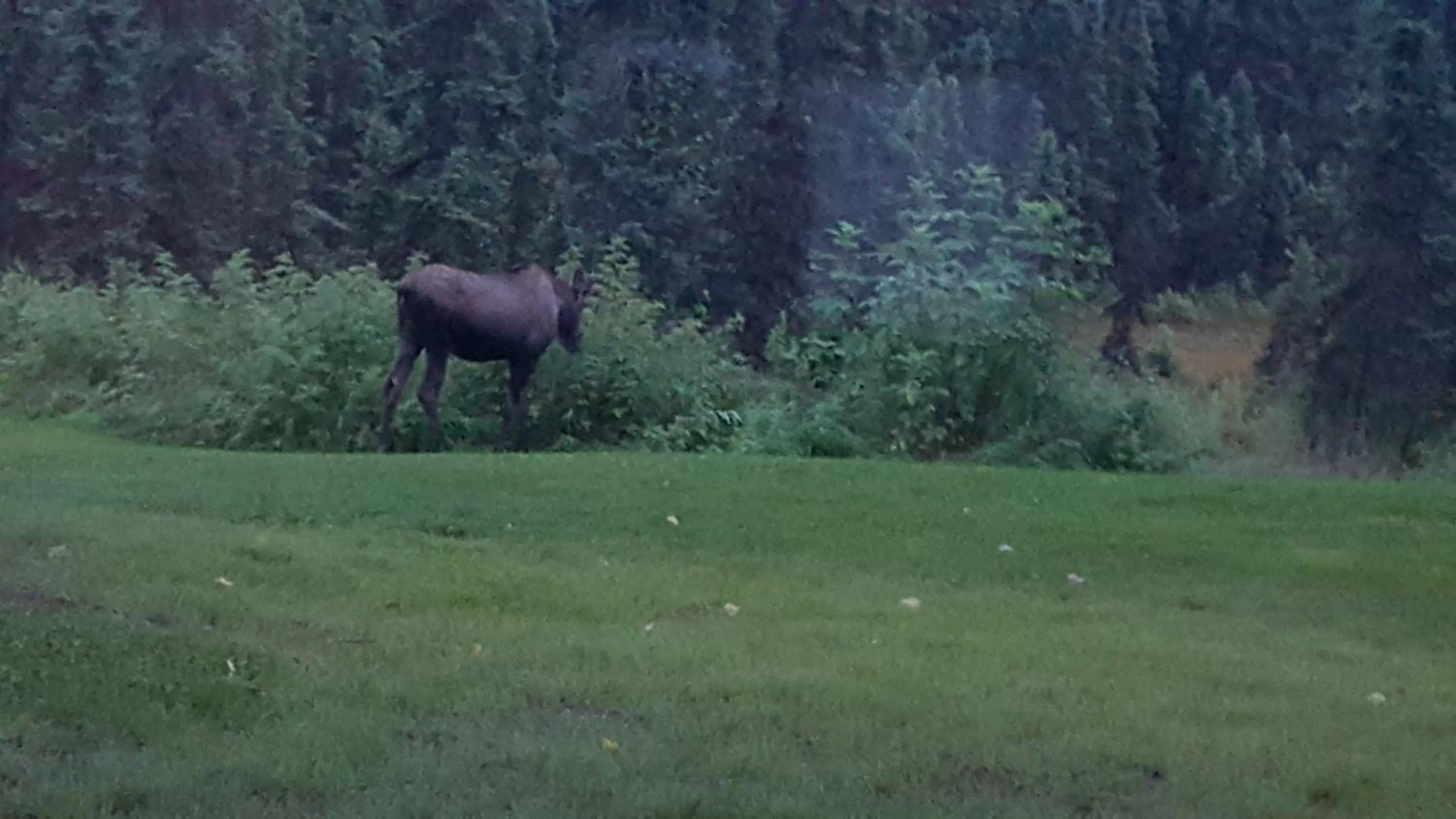 Natural landscape in Southern Bluff Bed & Breakfast